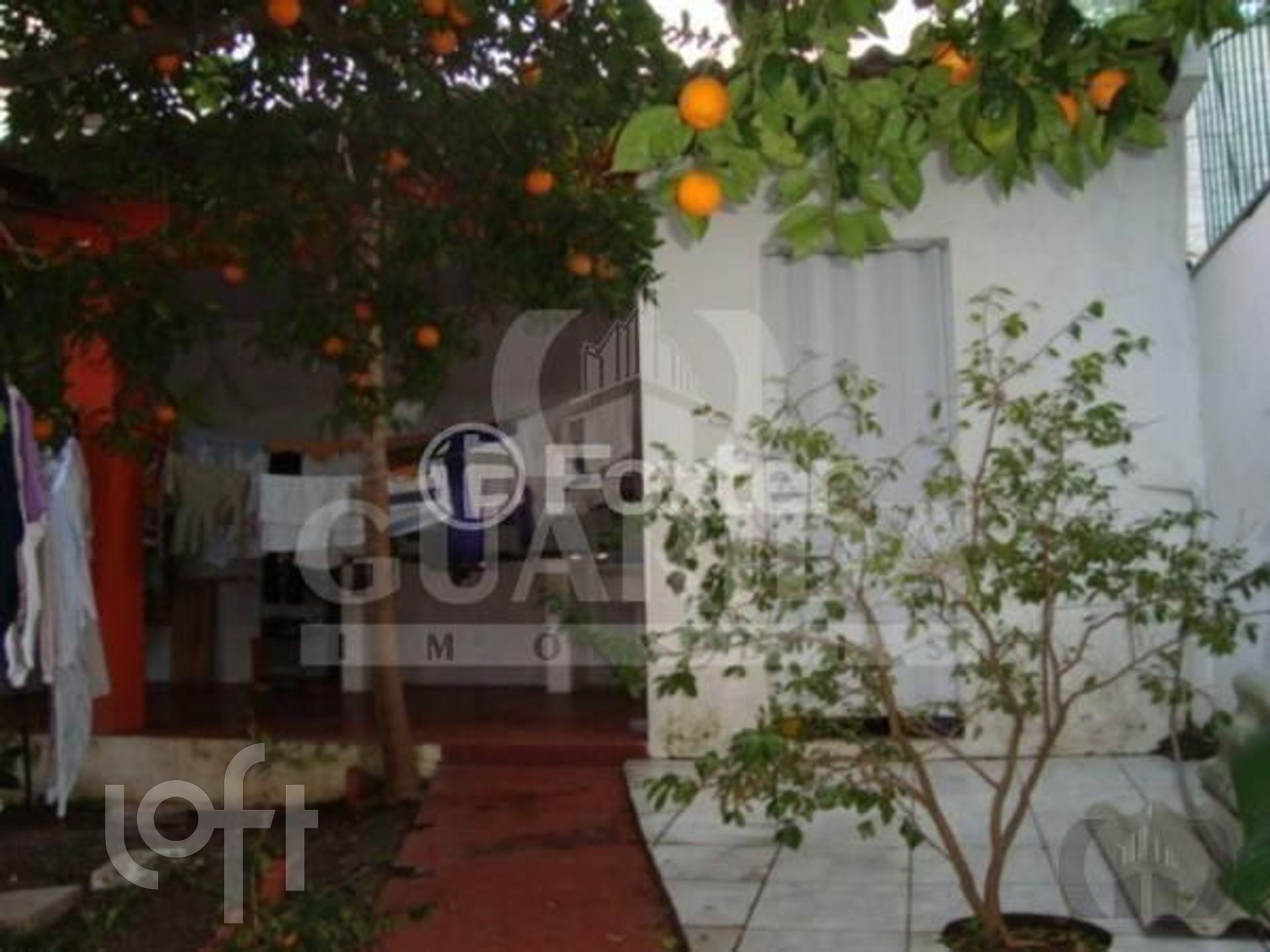 Imagem da propriedade 16