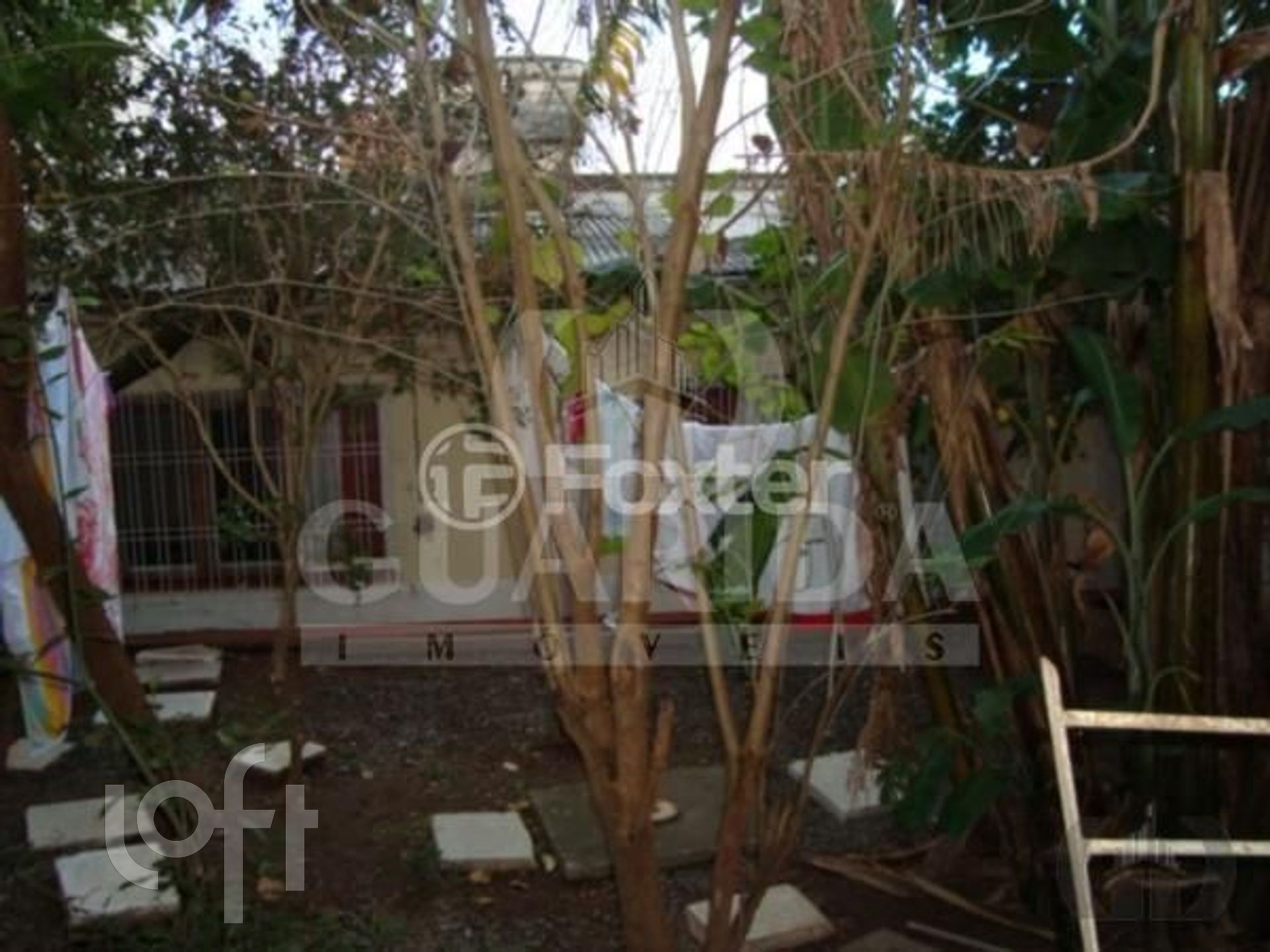 Imagem da propriedade 3