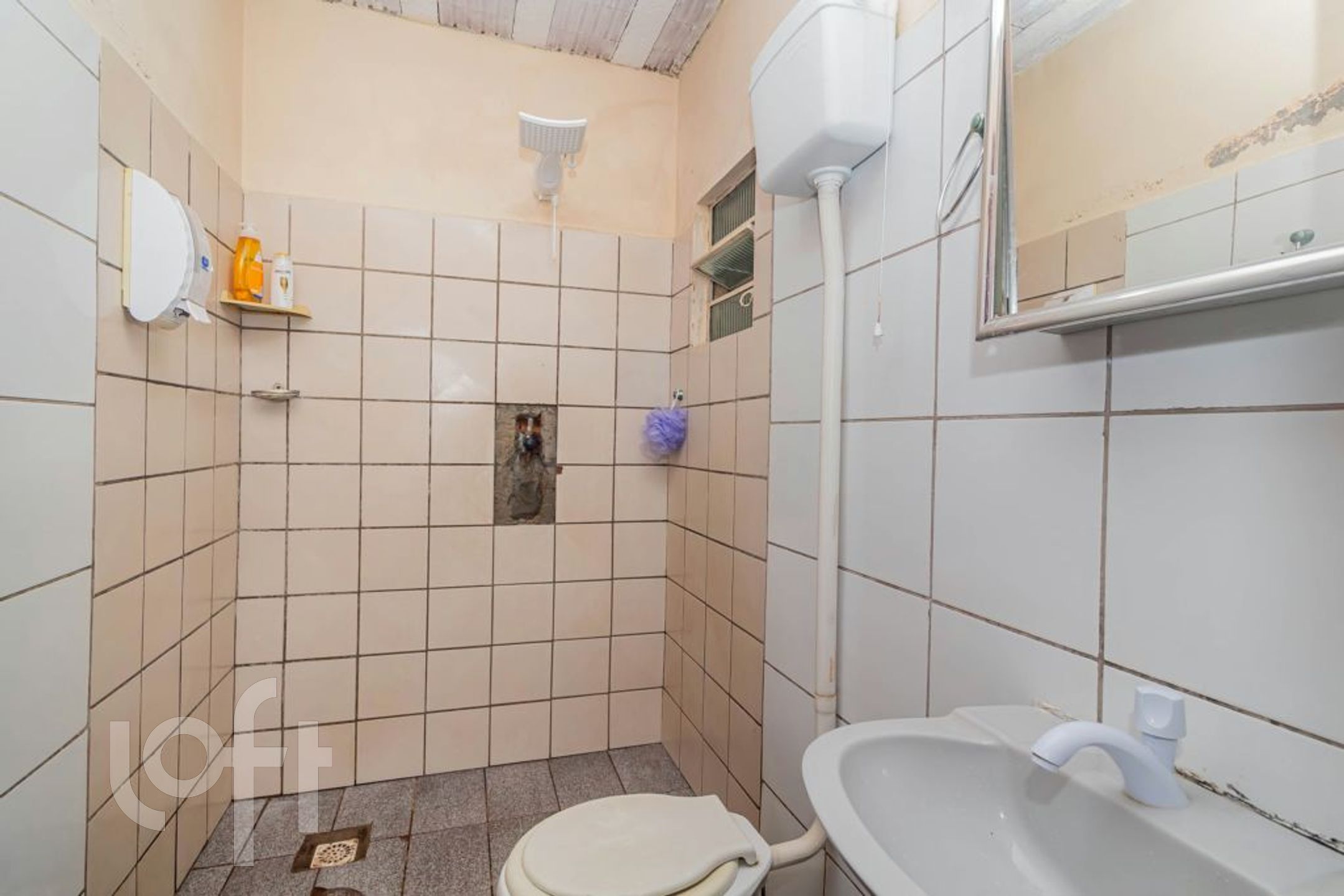 Imagem da propriedade 53