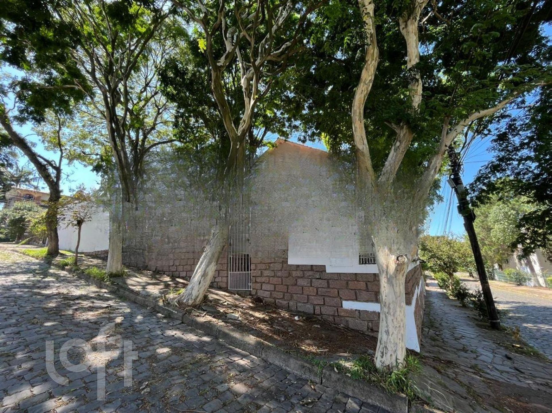 Imagem da propriedade 42