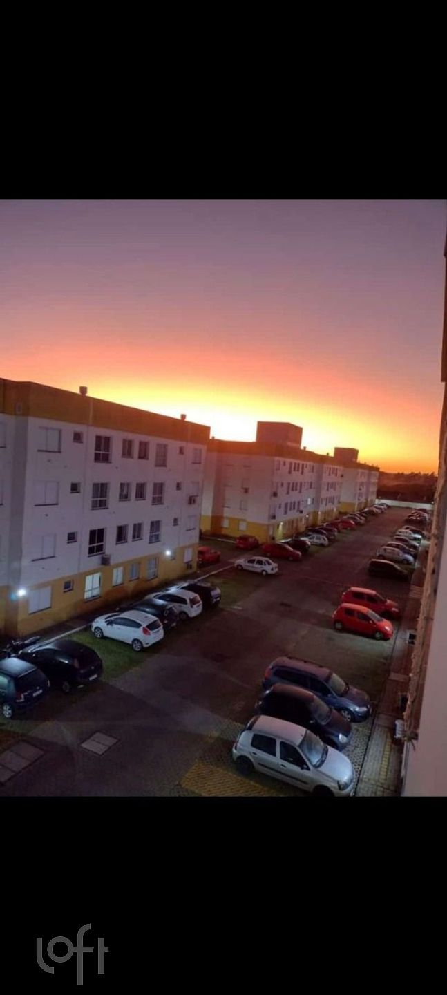 Imagem da propriedade 9