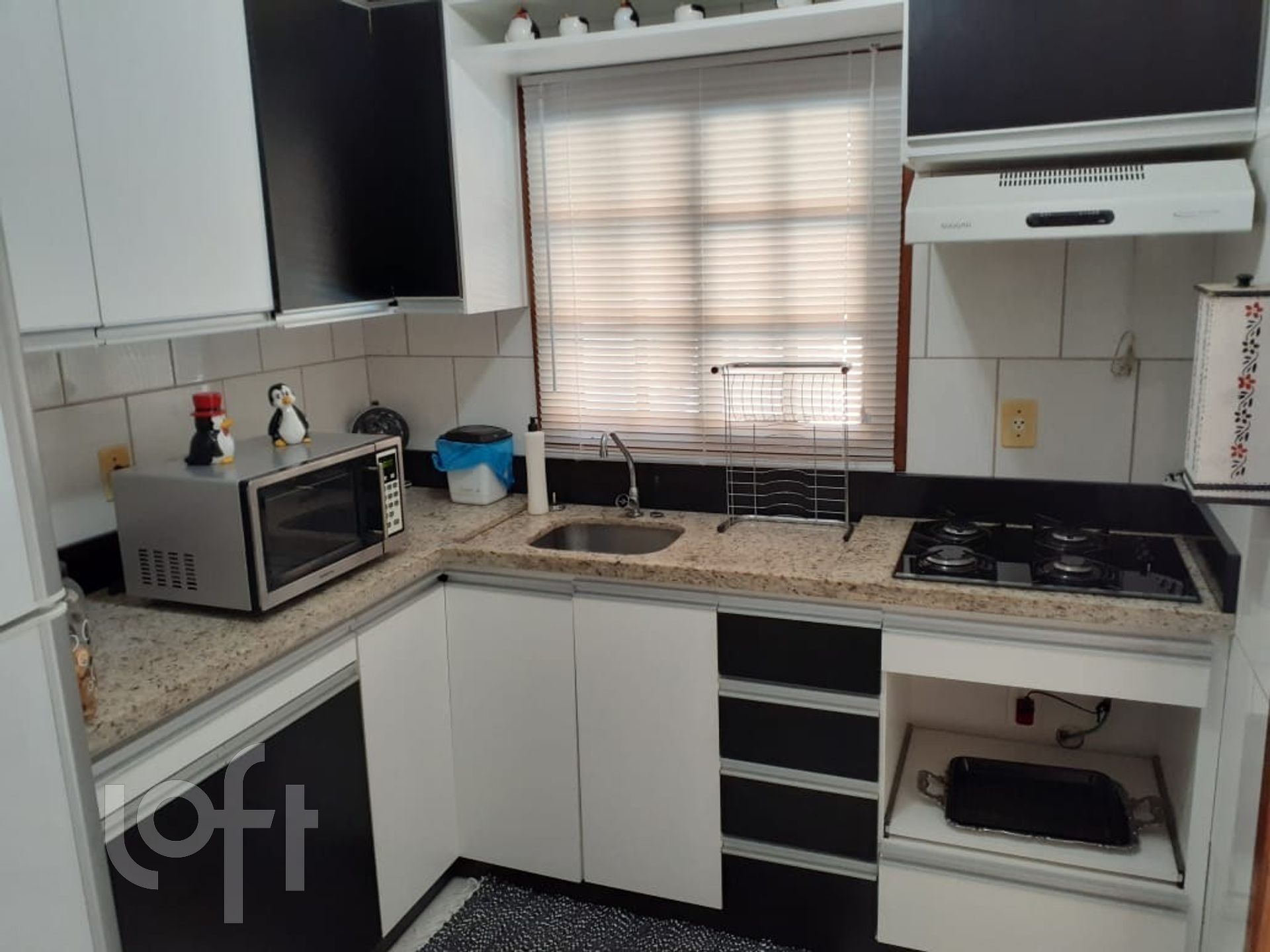 Imagem da propriedade 11