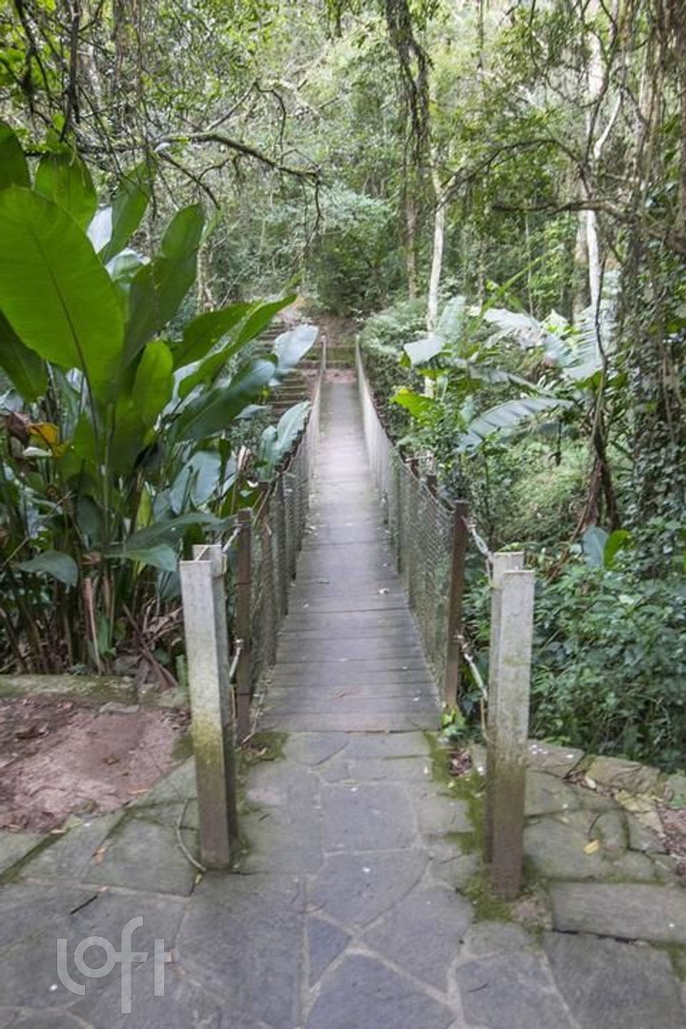 Imagem da propriedade 37