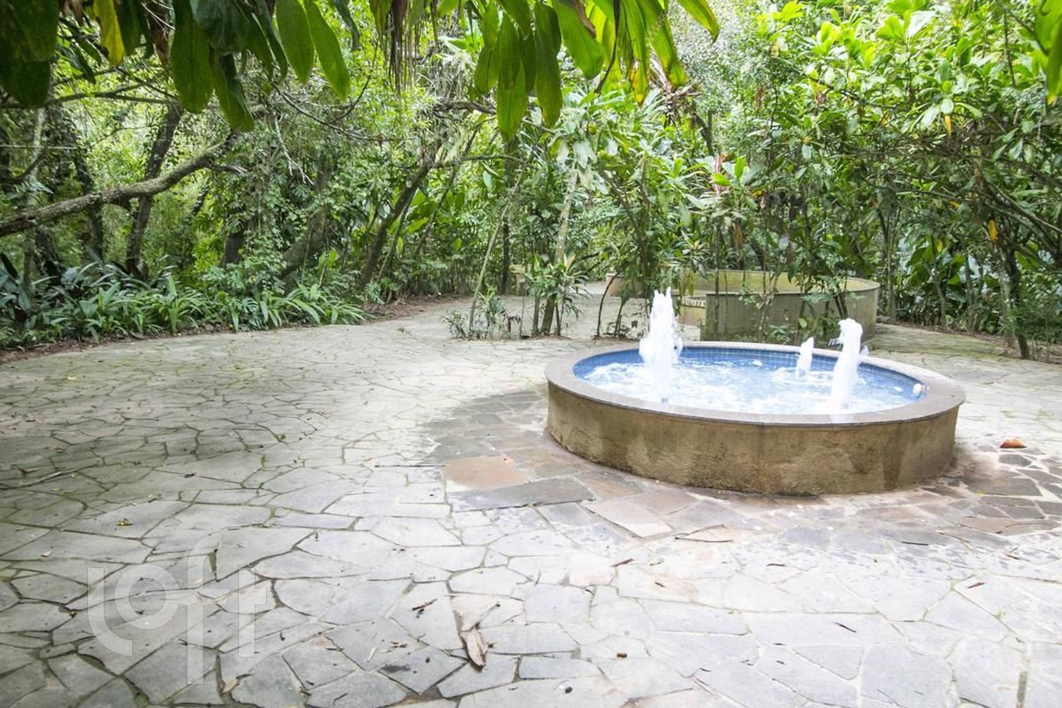 Imagem da propriedade 34