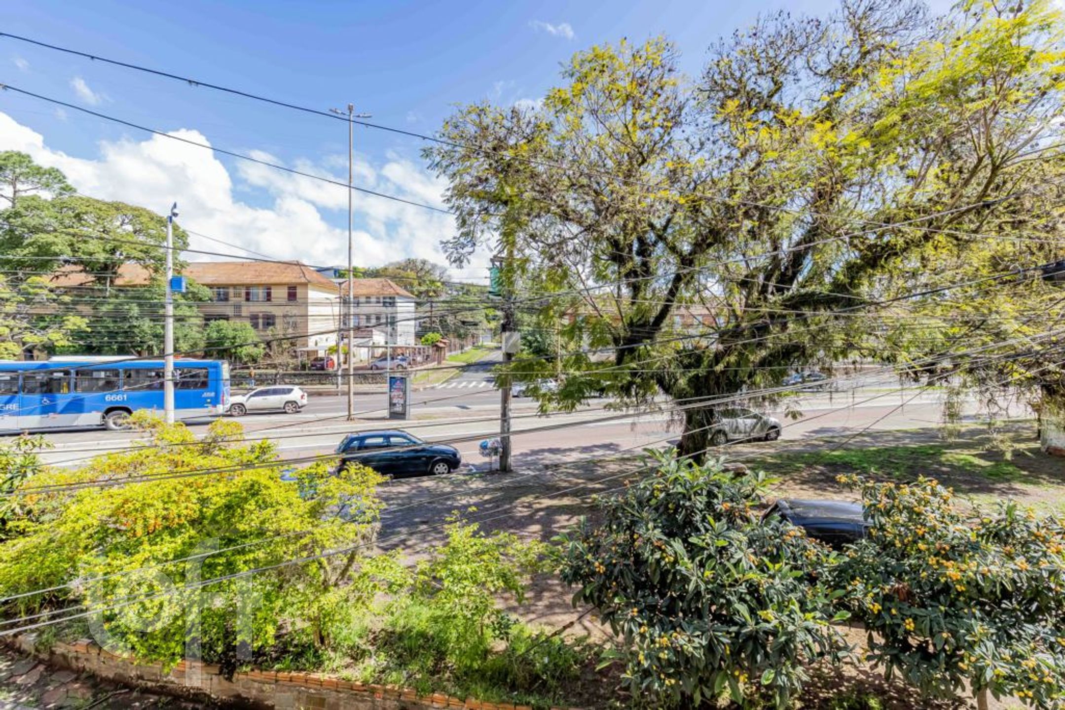 Imagem da propriedade 10