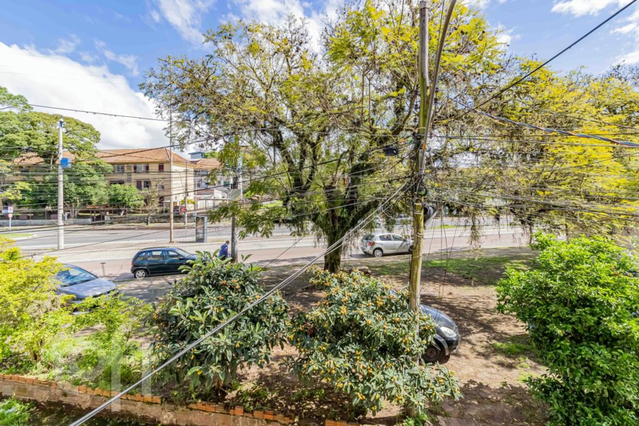 Imagem da propriedade 6