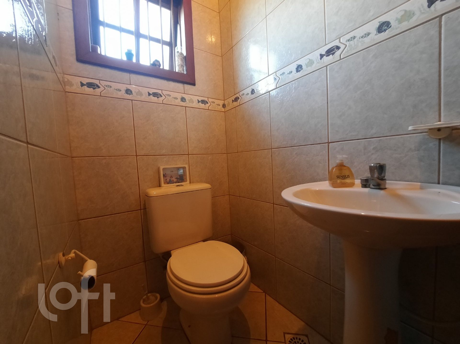 Imagem da propriedade 37