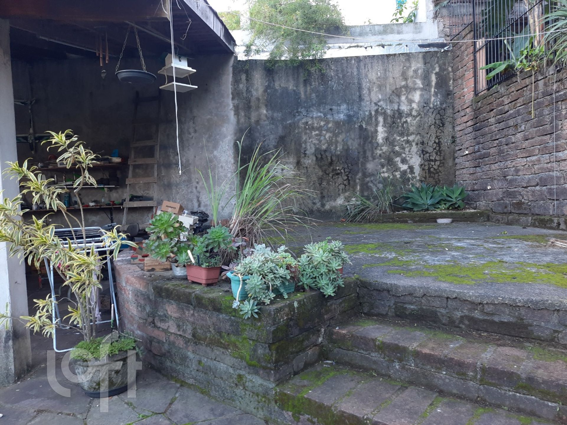 Imagem da propriedade 41