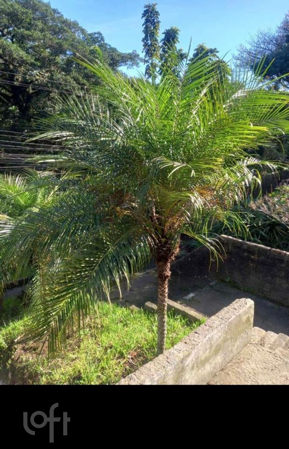 Imagem da propriedade 13