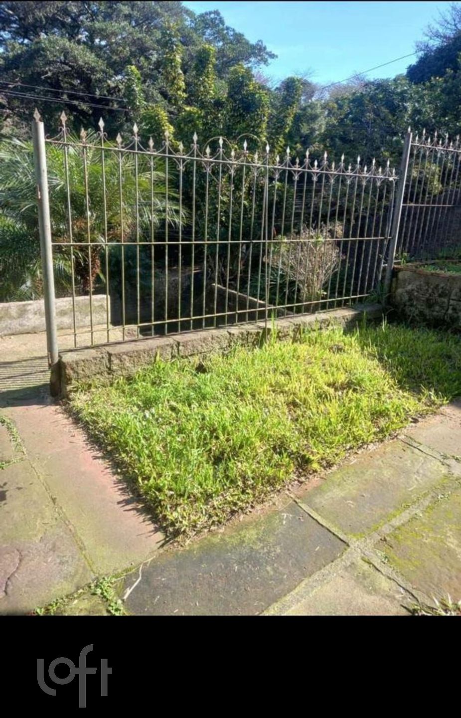 Imagem da propriedade 11