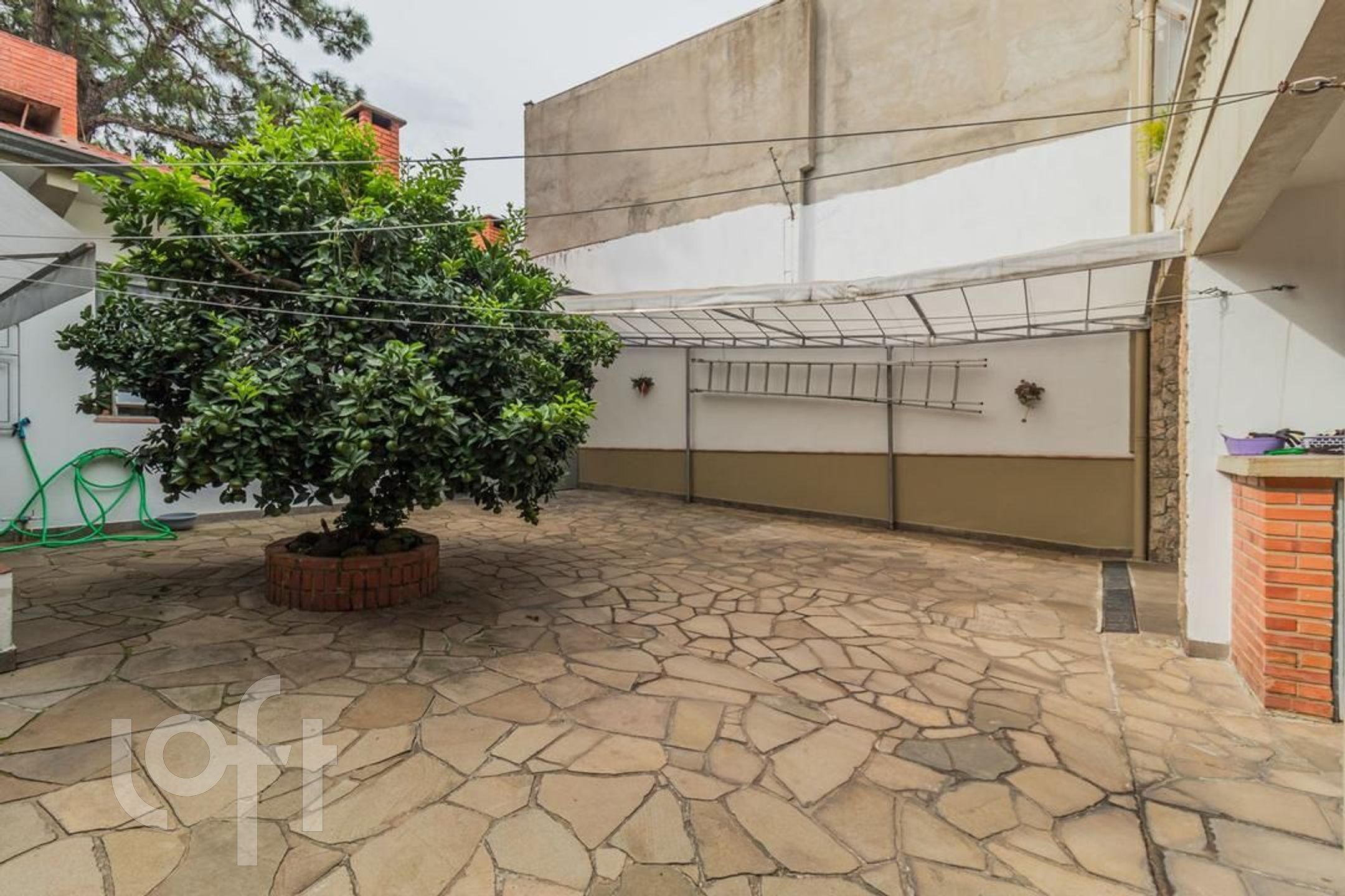 Imagem da propriedade 39