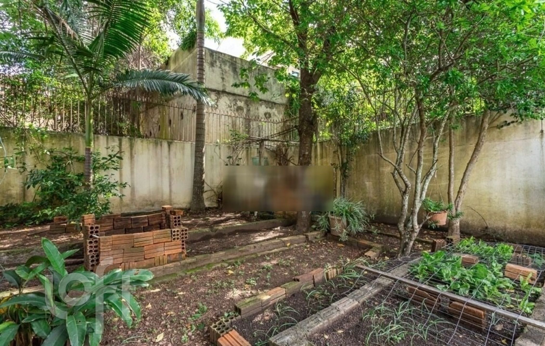 Imagem da propriedade 10