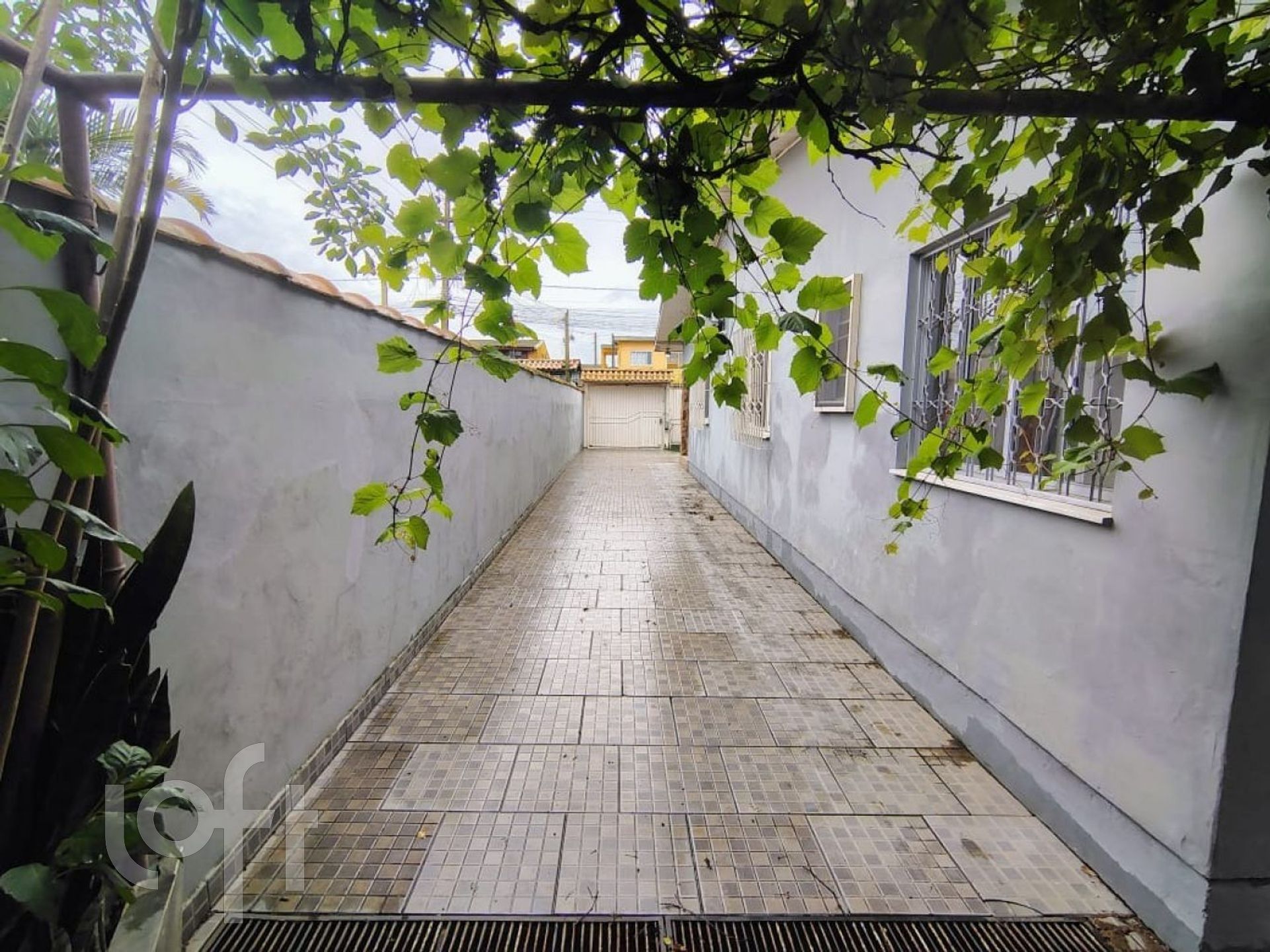 Imagem da propriedade 29