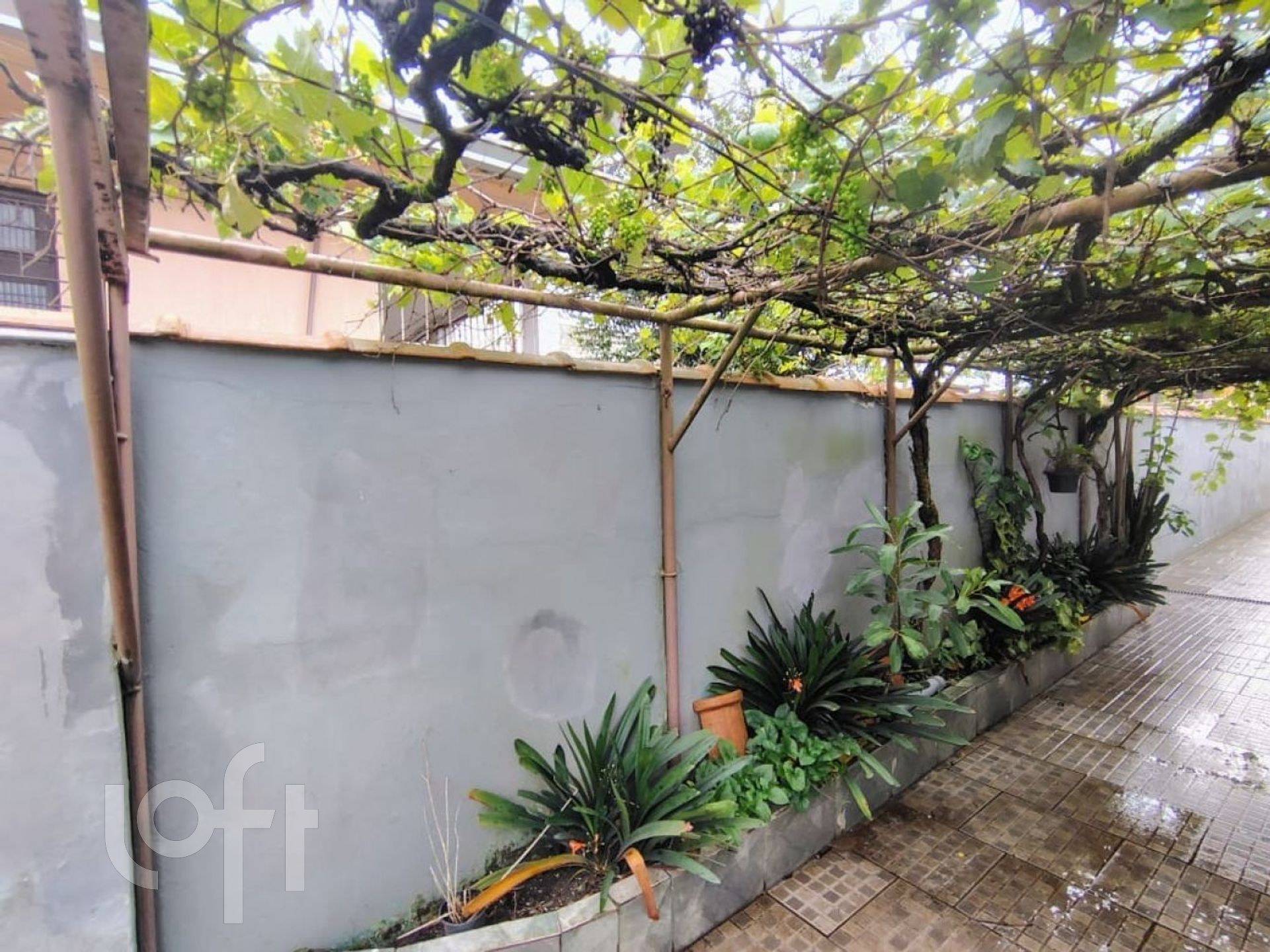 Imagem da propriedade 27