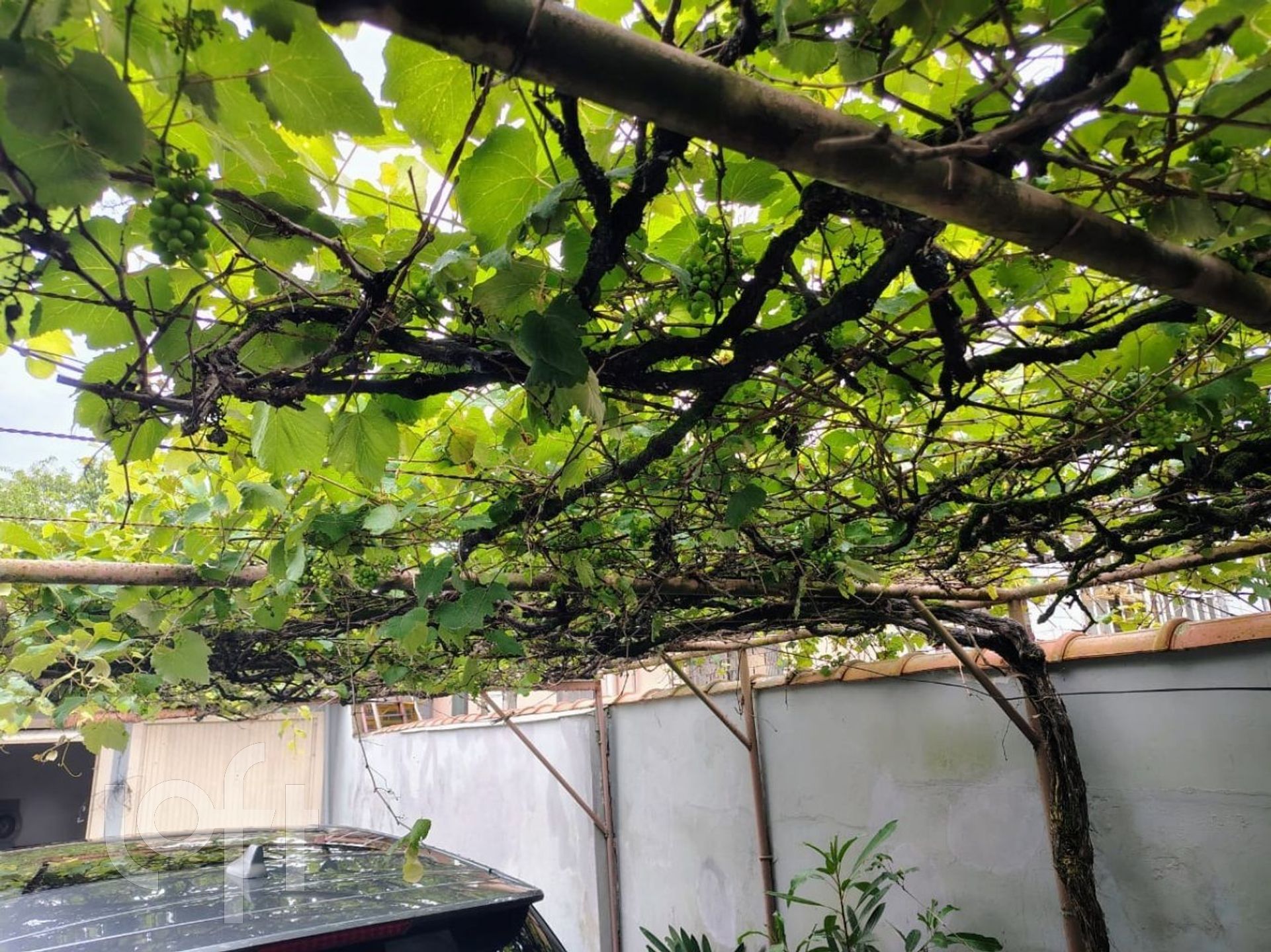 Imagem da propriedade 33