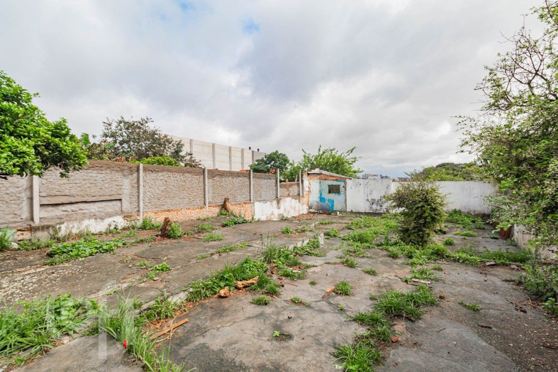 Imagem da propriedade 22