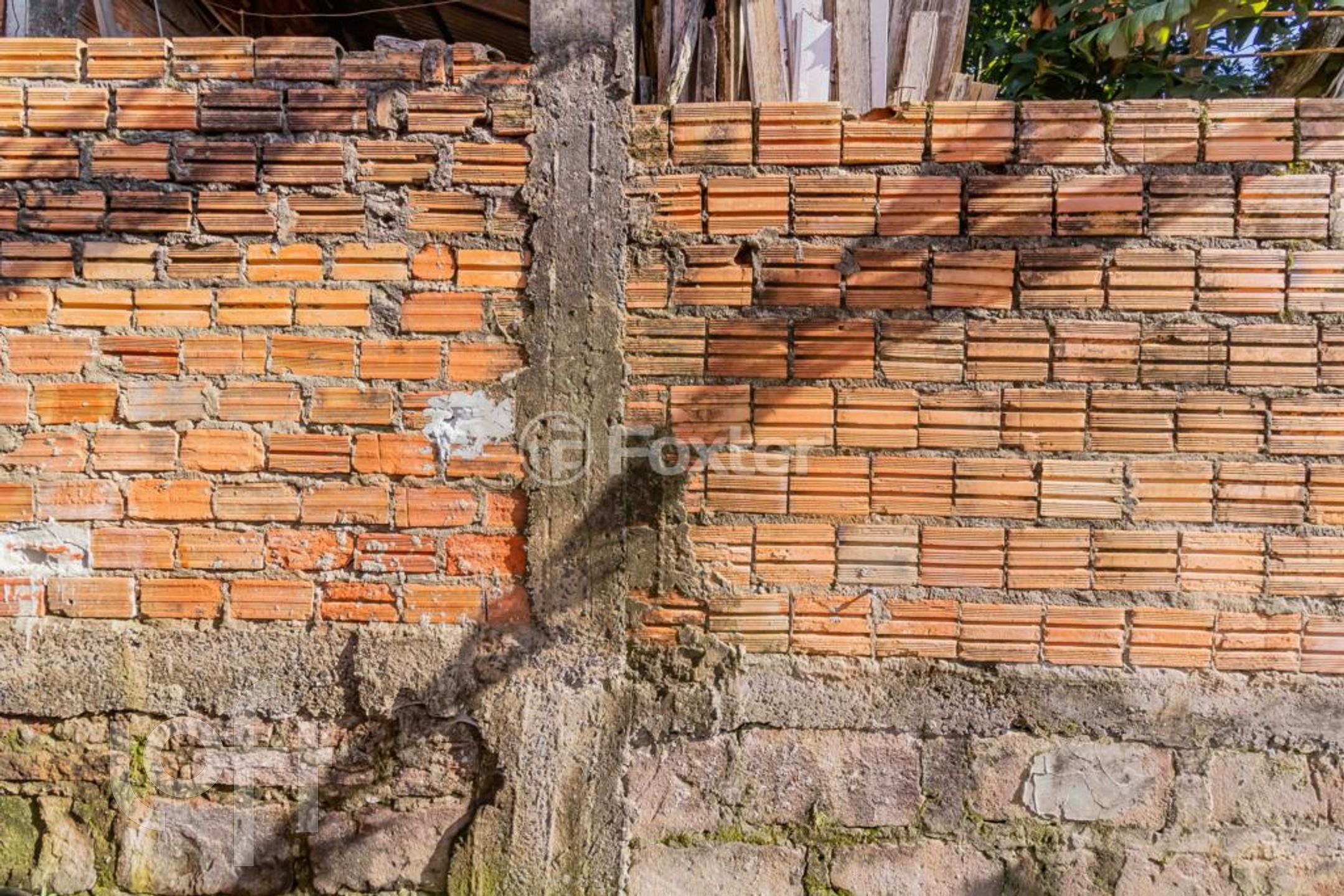 Imagem da propriedade 31