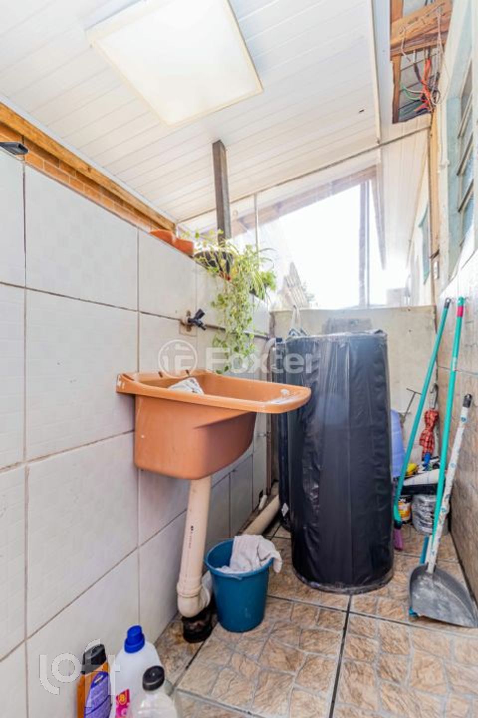 Imagem da propriedade 51