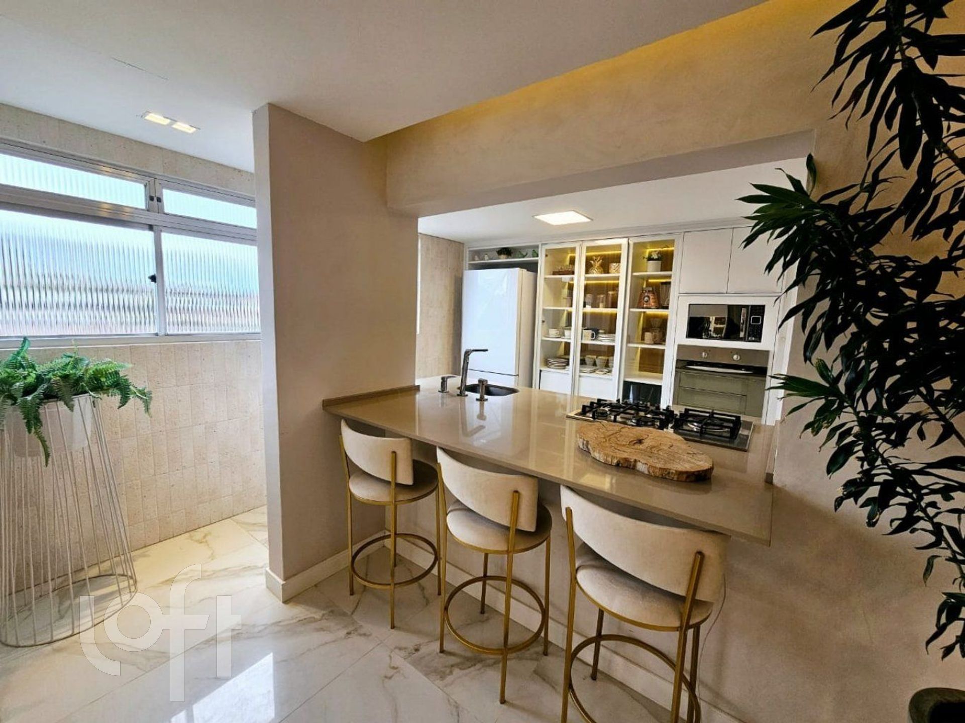 Imagem da propriedade 8