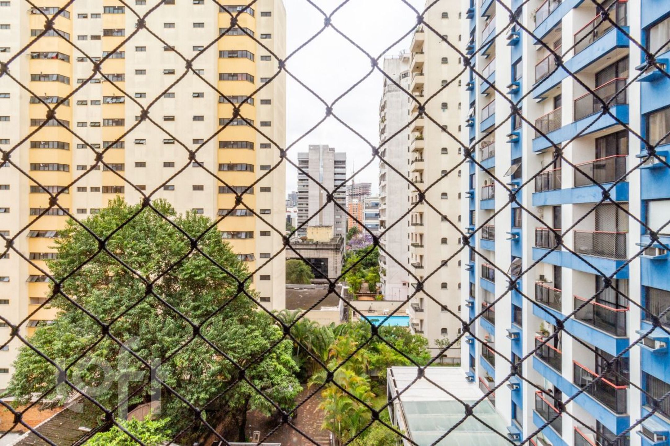 Imagem da propriedade 4