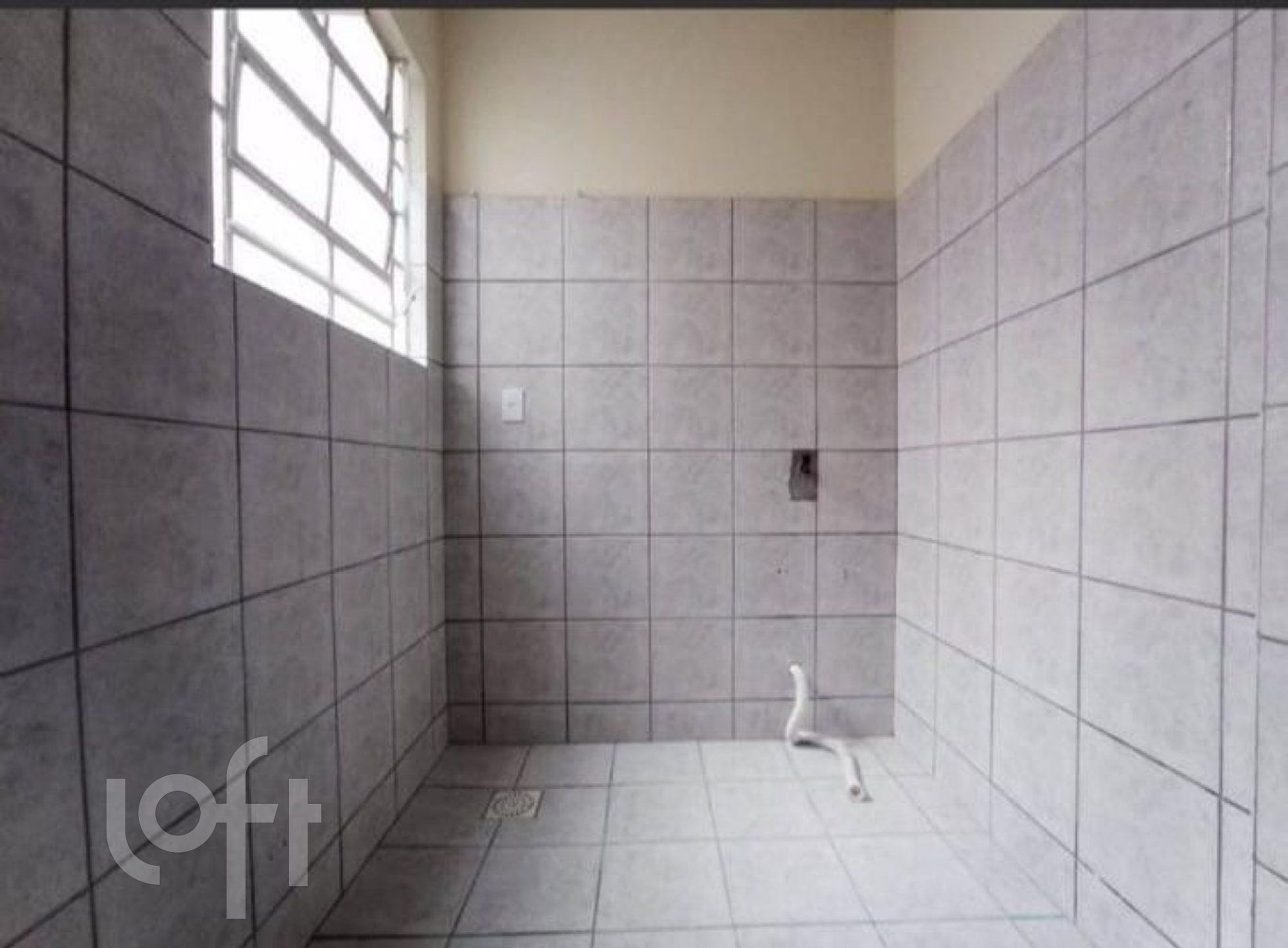 Imagem da propriedade 6