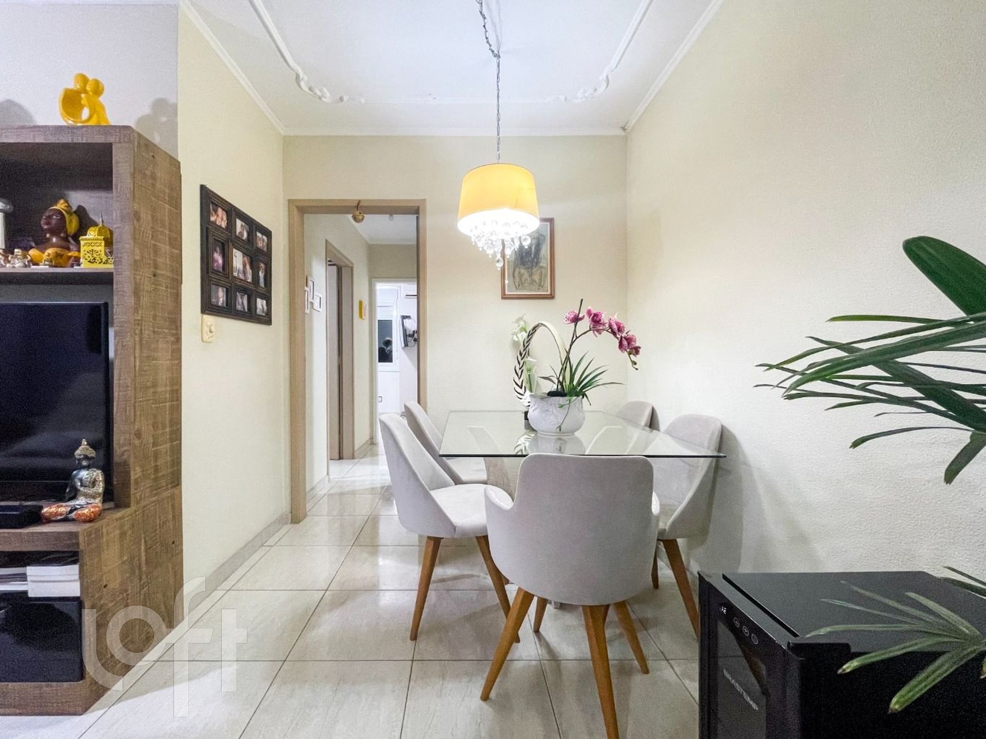 Imagem da propriedade 7