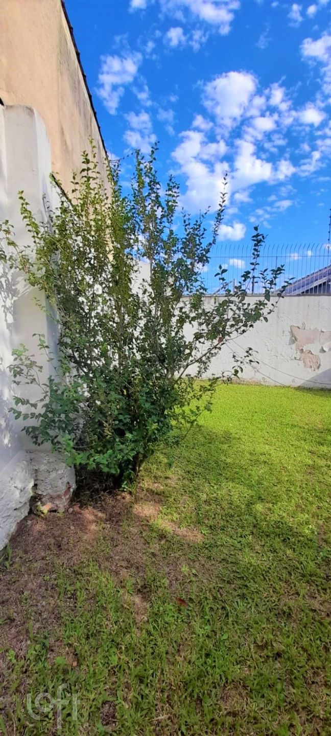 Imagem da propriedade 19