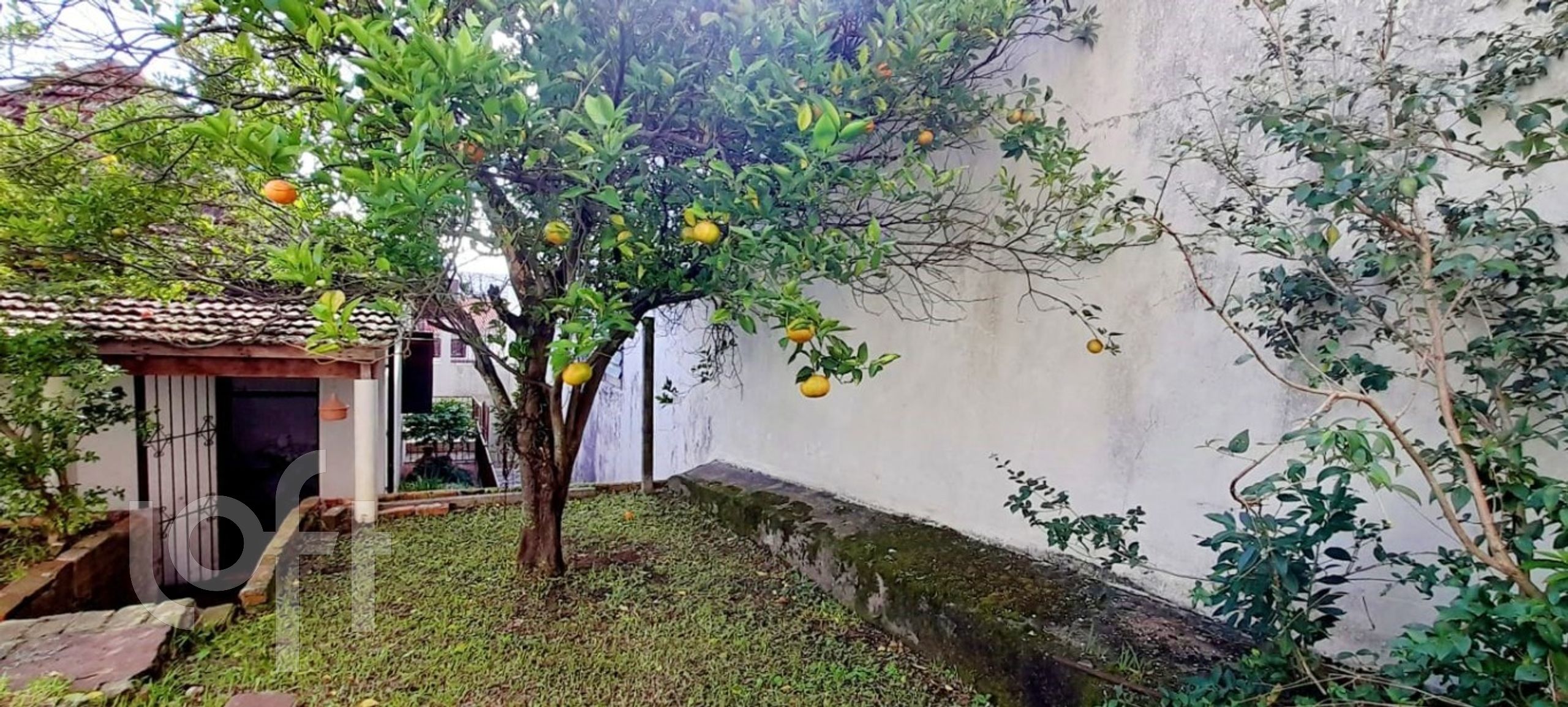 Imagem da propriedade 20