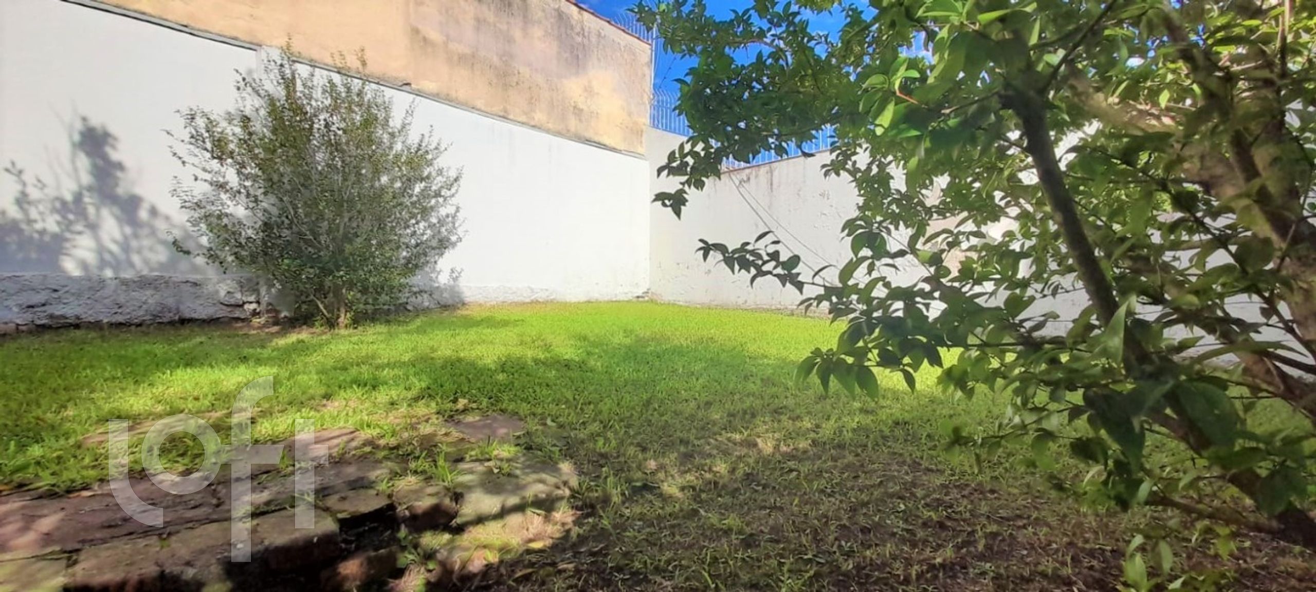 Imagem da propriedade 21