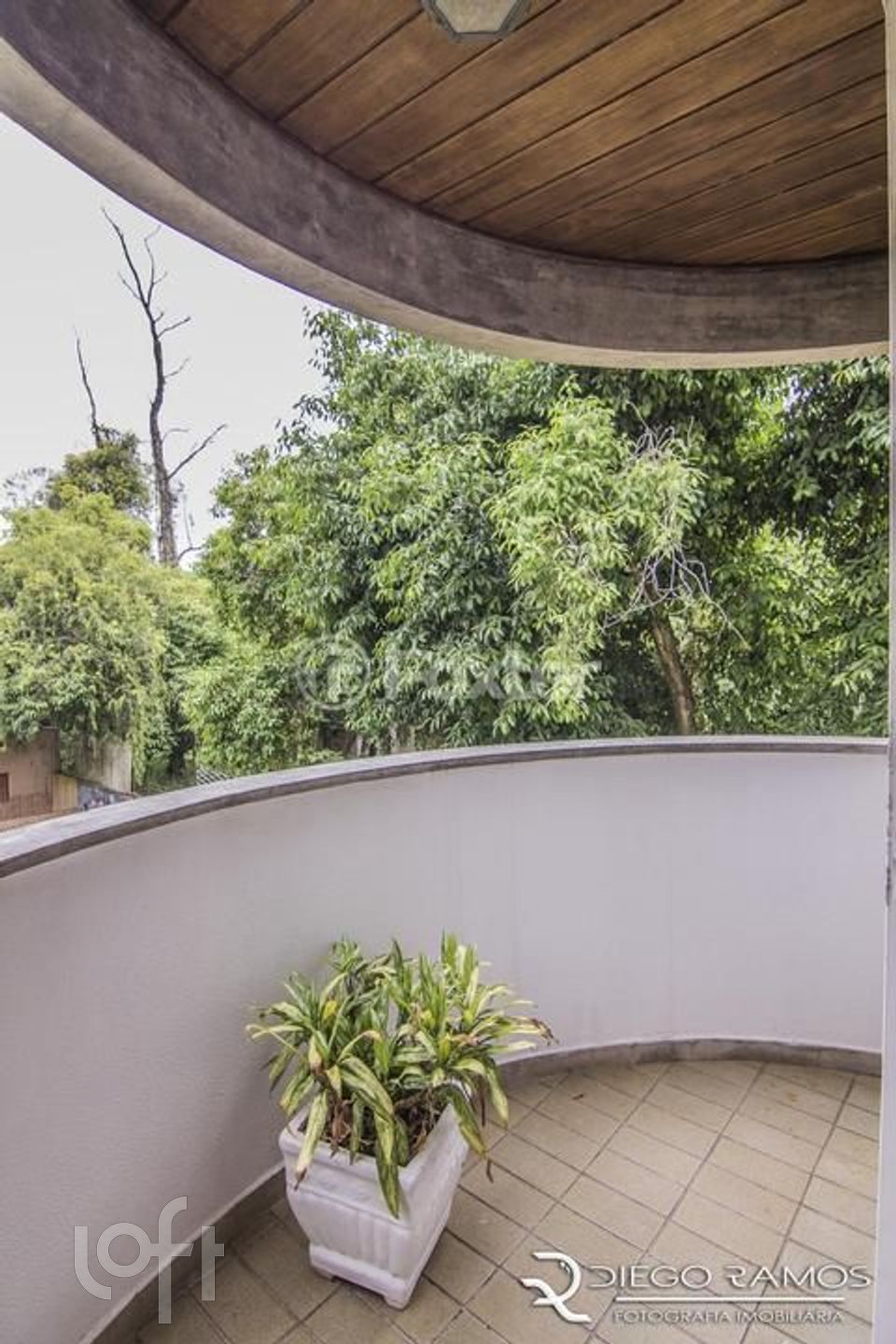 Imagem da propriedade 17