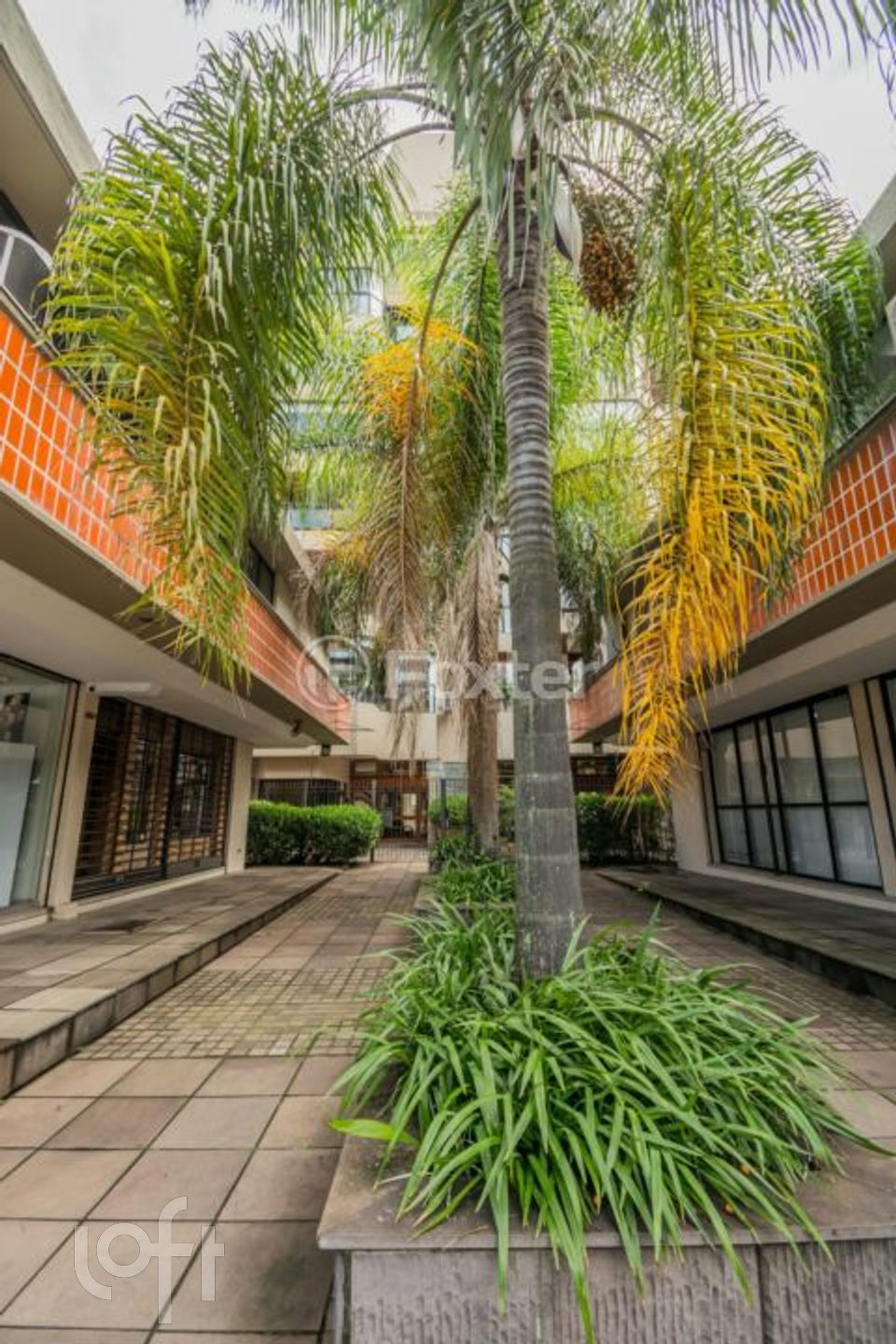 Imagem da propriedade 28