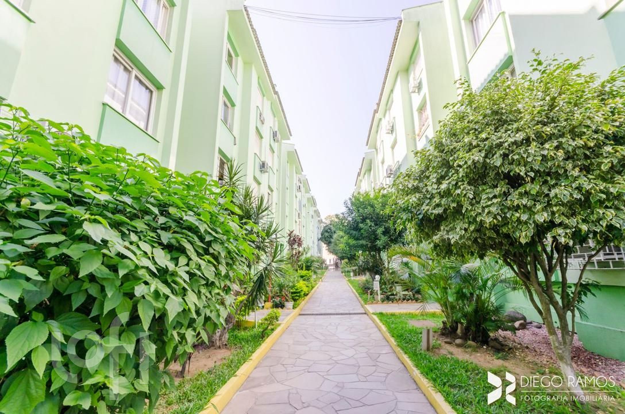 Imagem da propriedade 10