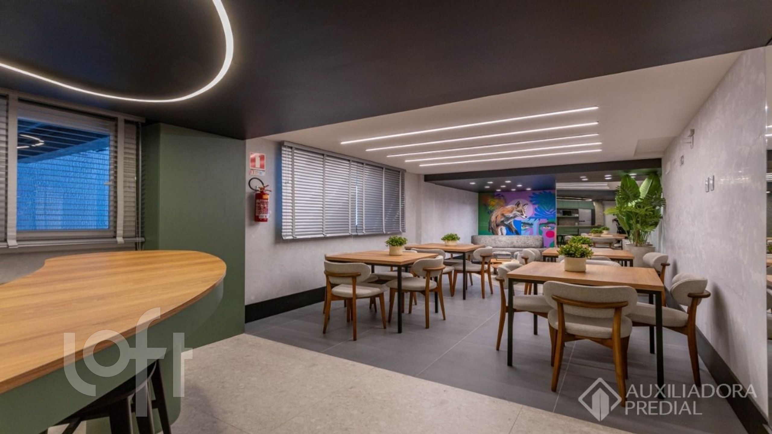 Imagem da propriedade 7