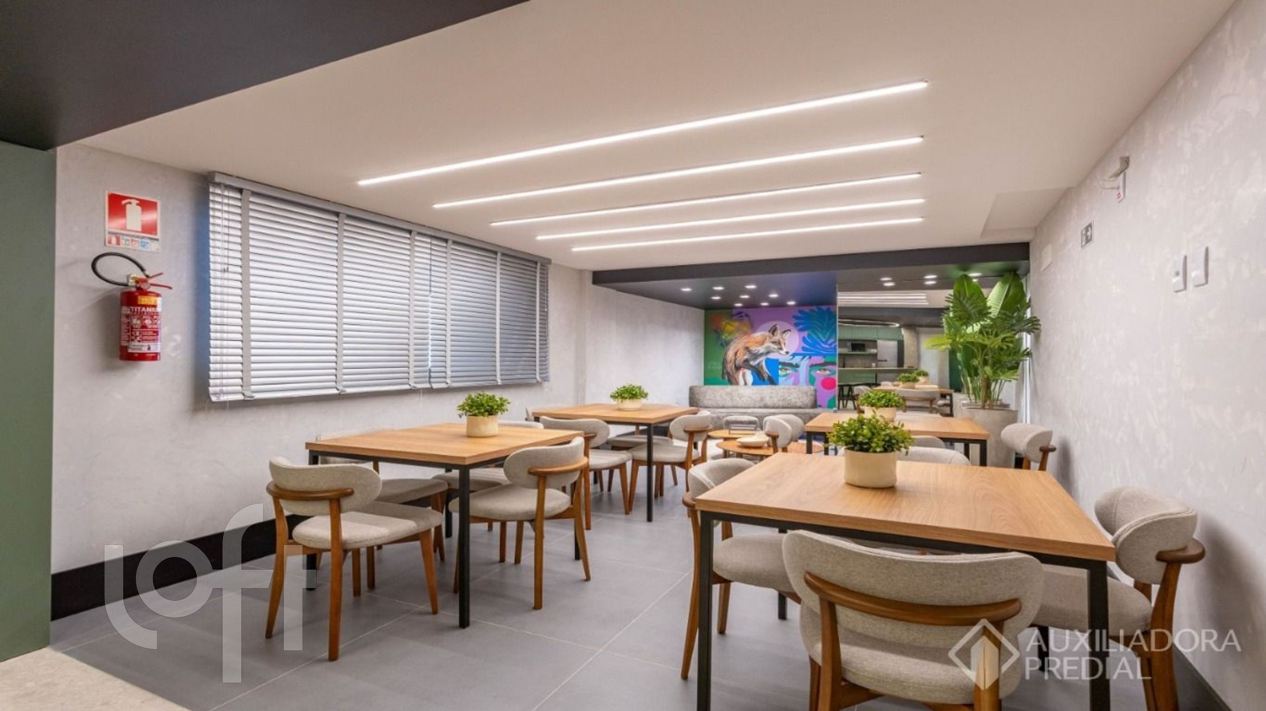 Imagem da propriedade 8