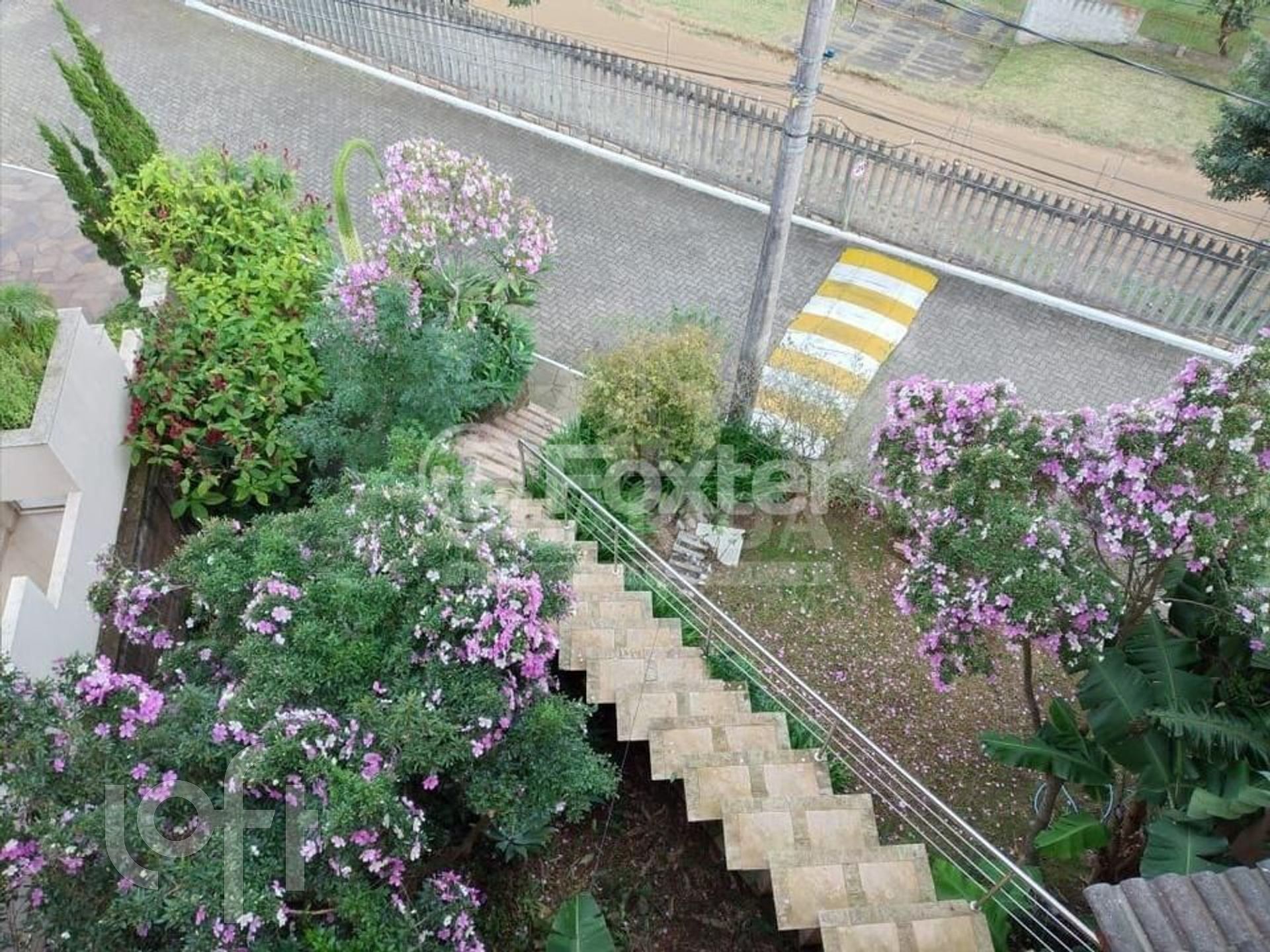 Imagem da propriedade 5