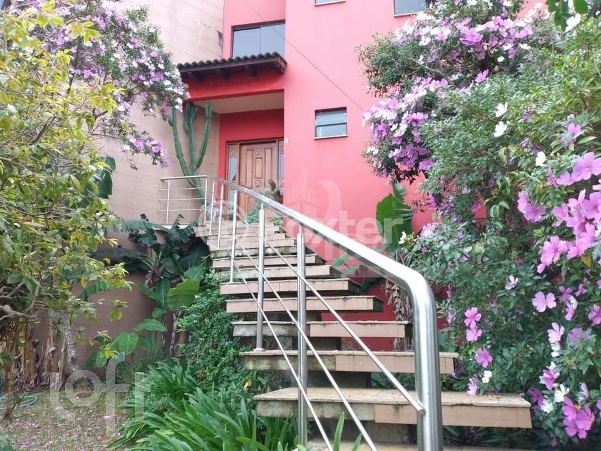 Imagem da propriedade 18