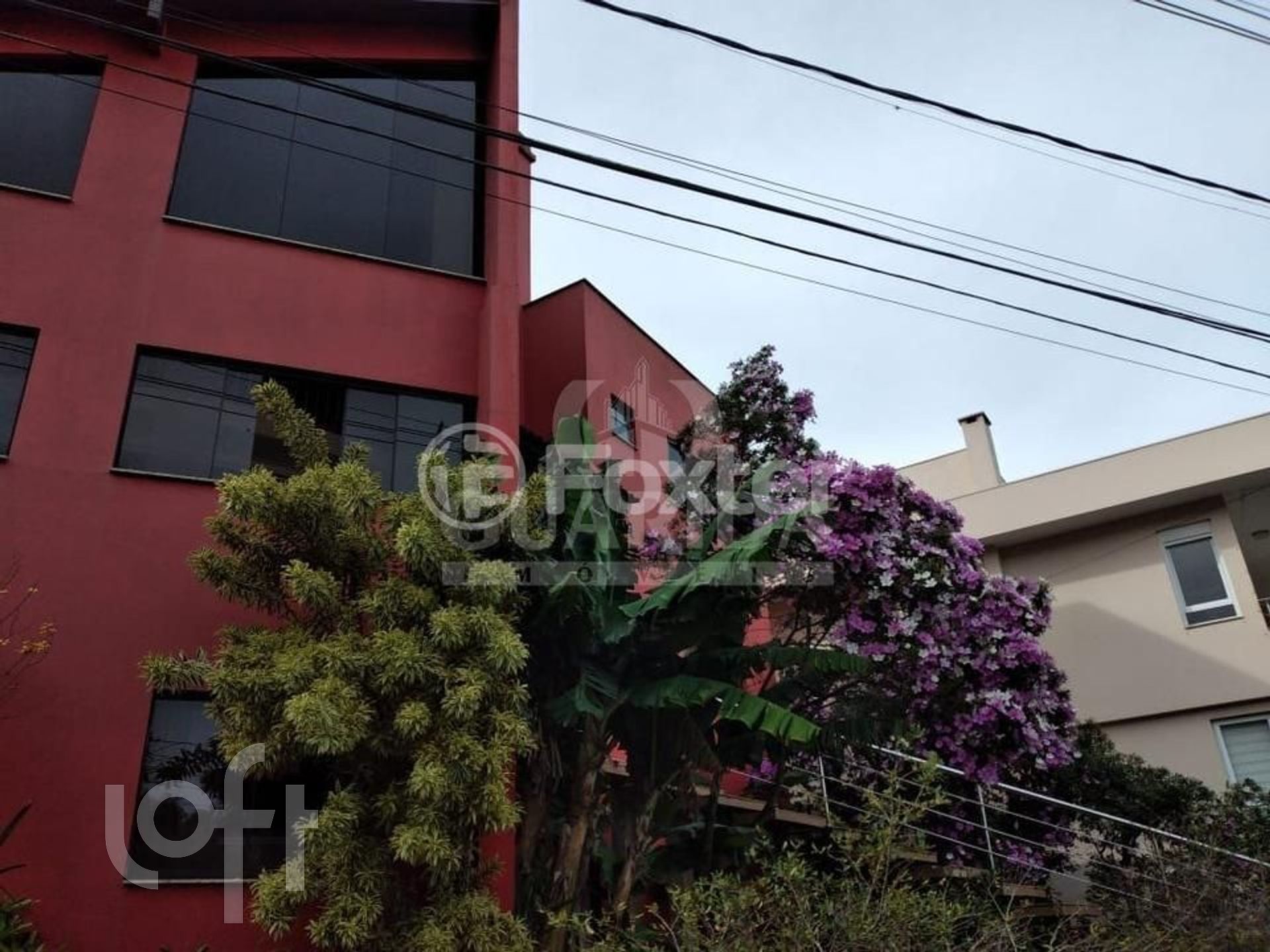 Imagem da propriedade 21