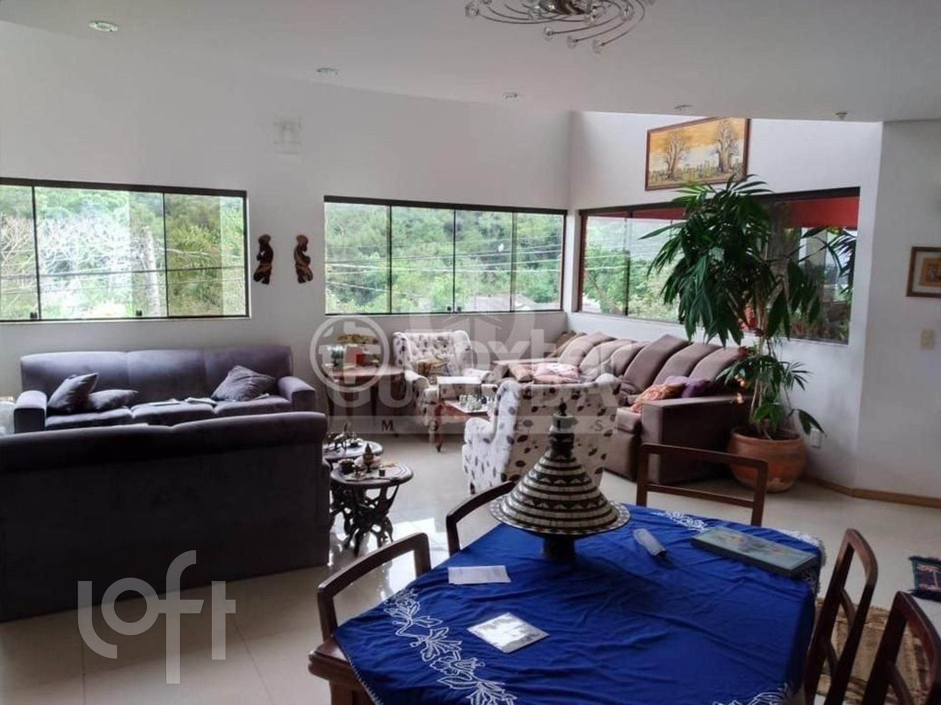 Imagem da propriedade 12