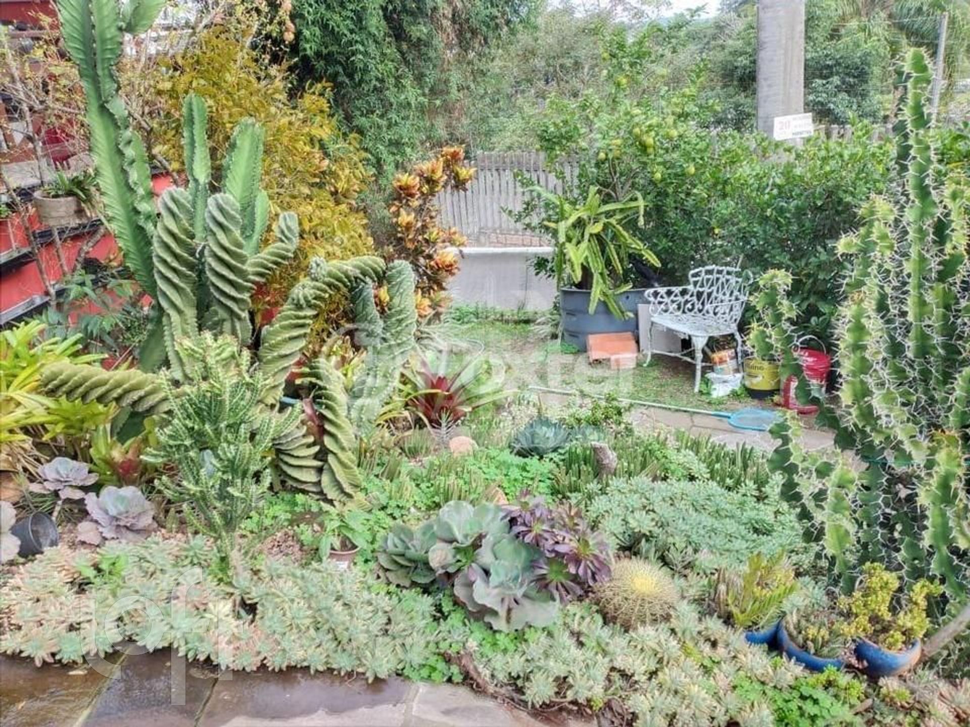 Imagem da propriedade 13