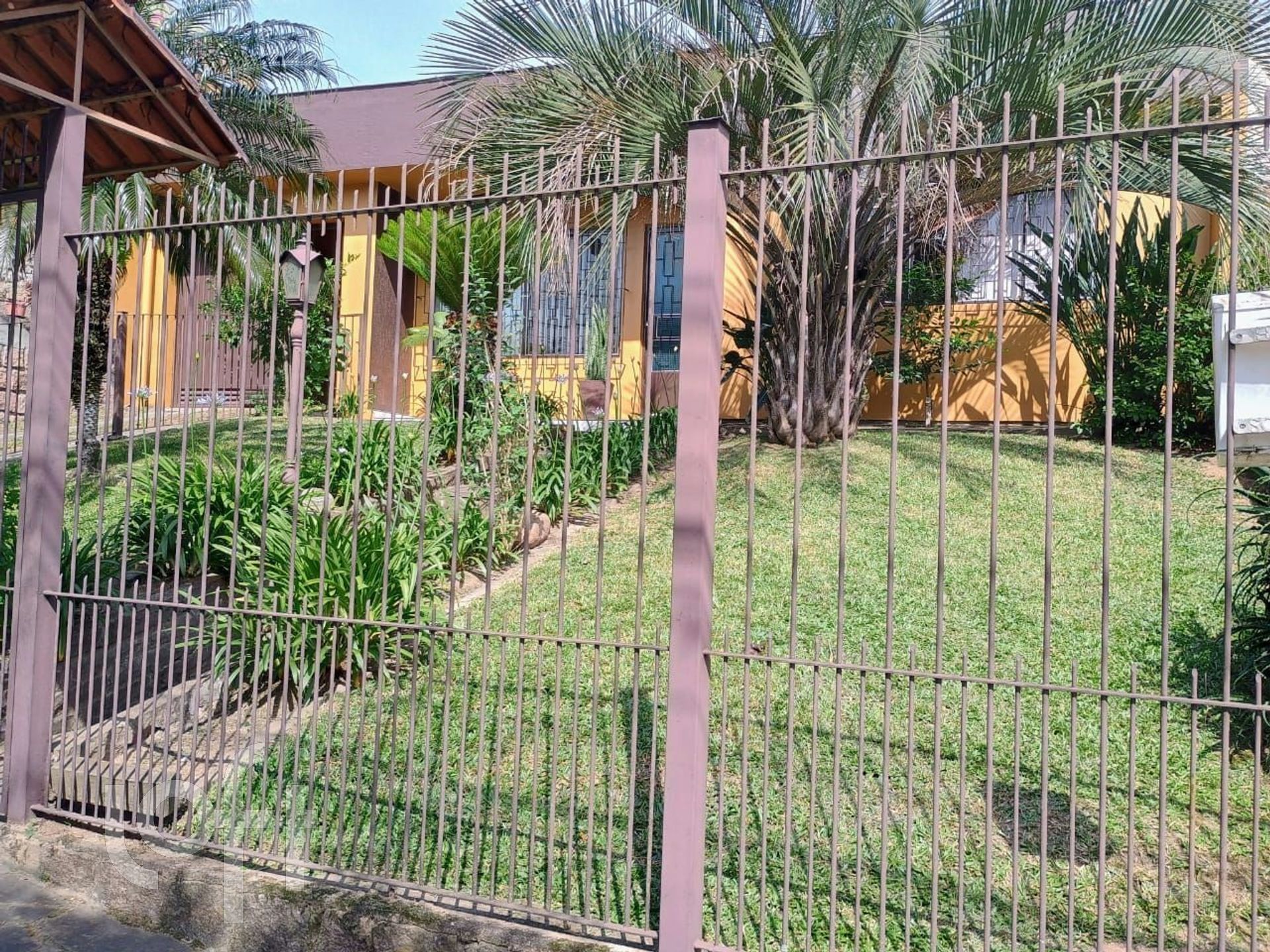 Imagem da propriedade 3