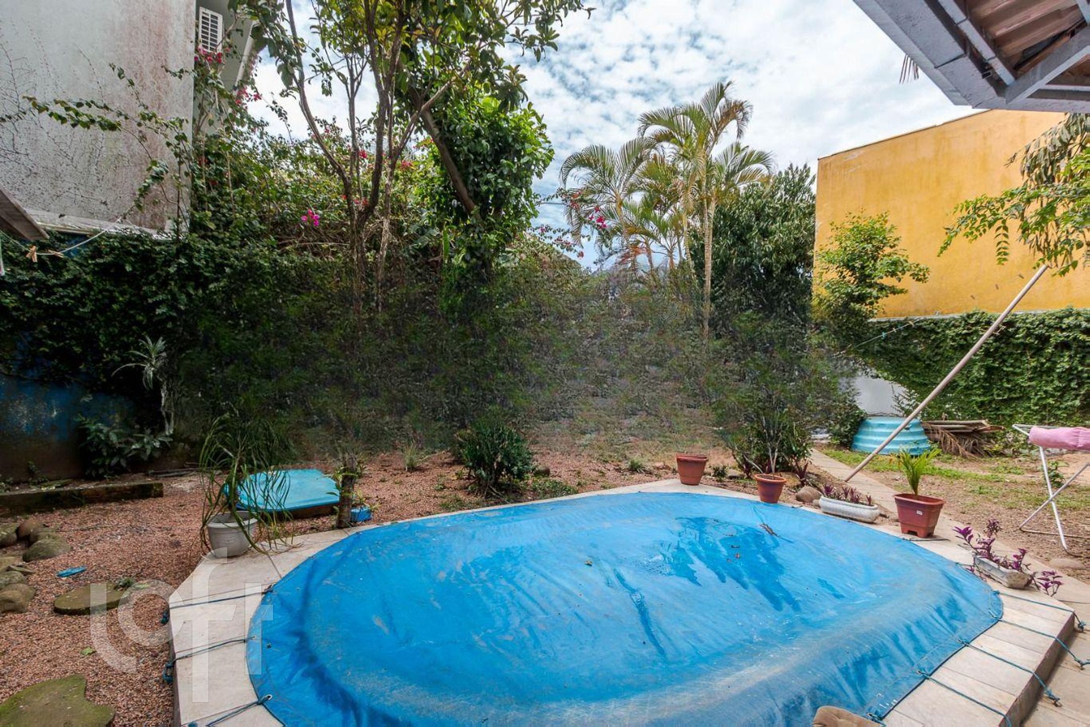 Imagem da propriedade 6