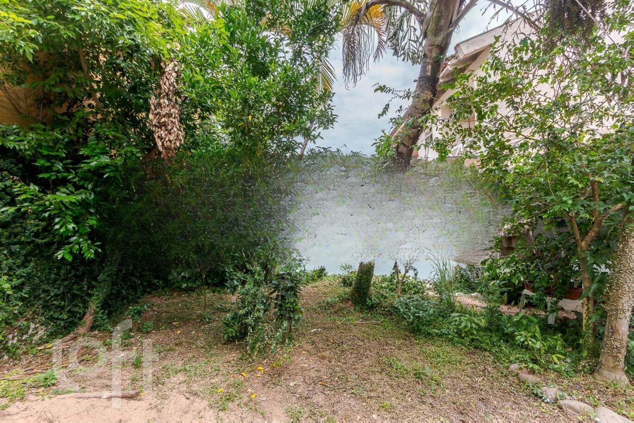 Imagem da propriedade 11