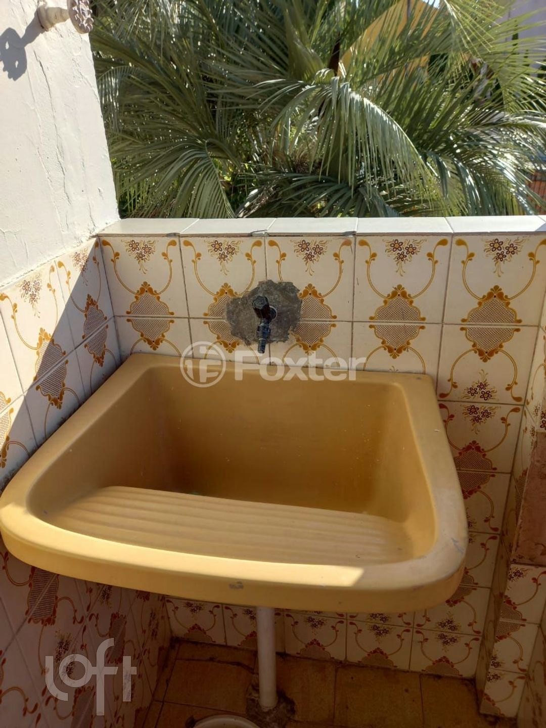 Imagem da propriedade 50