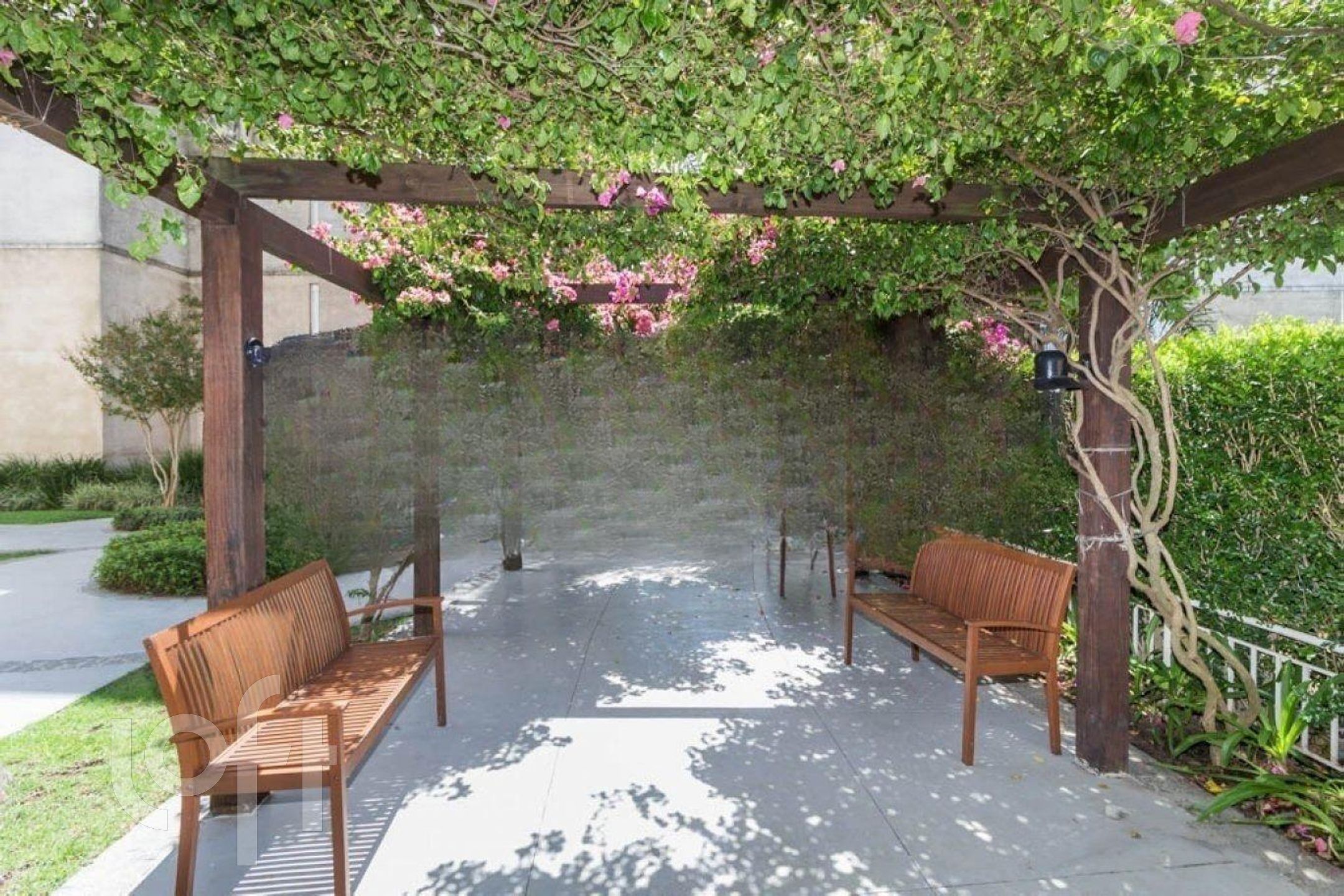 Imagem da propriedade 37