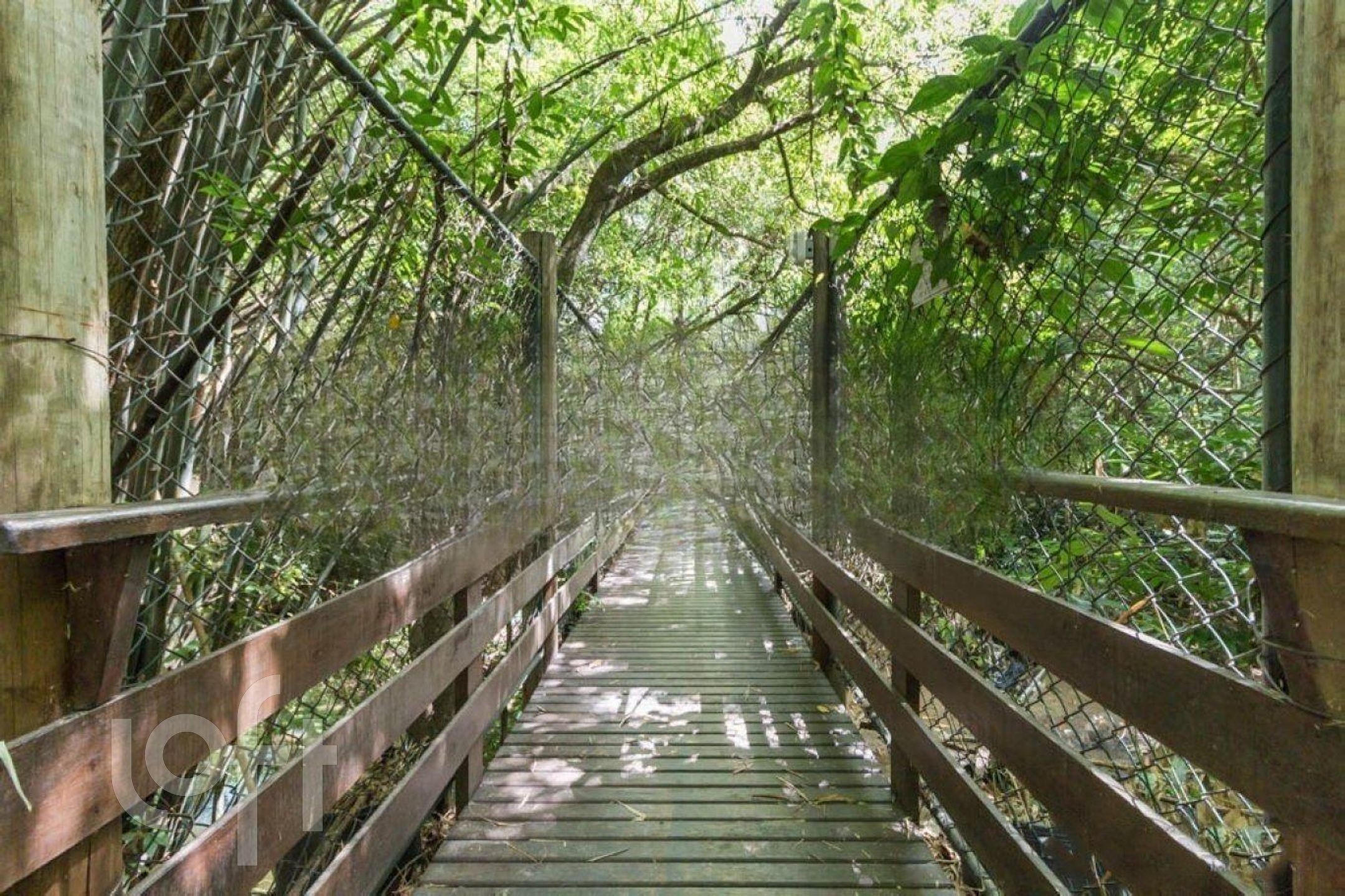 Imagem da propriedade 39