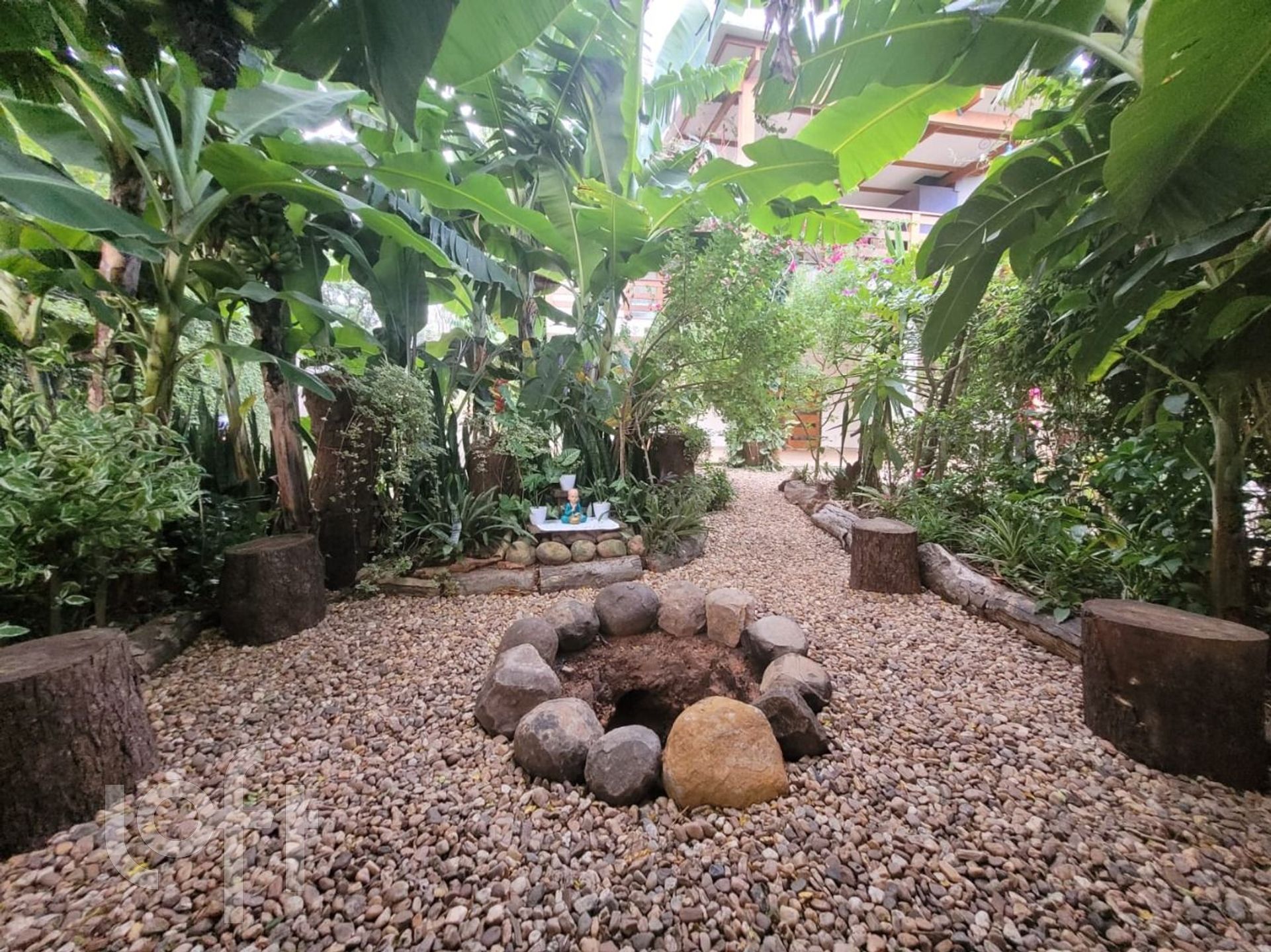 Imagem da propriedade 6