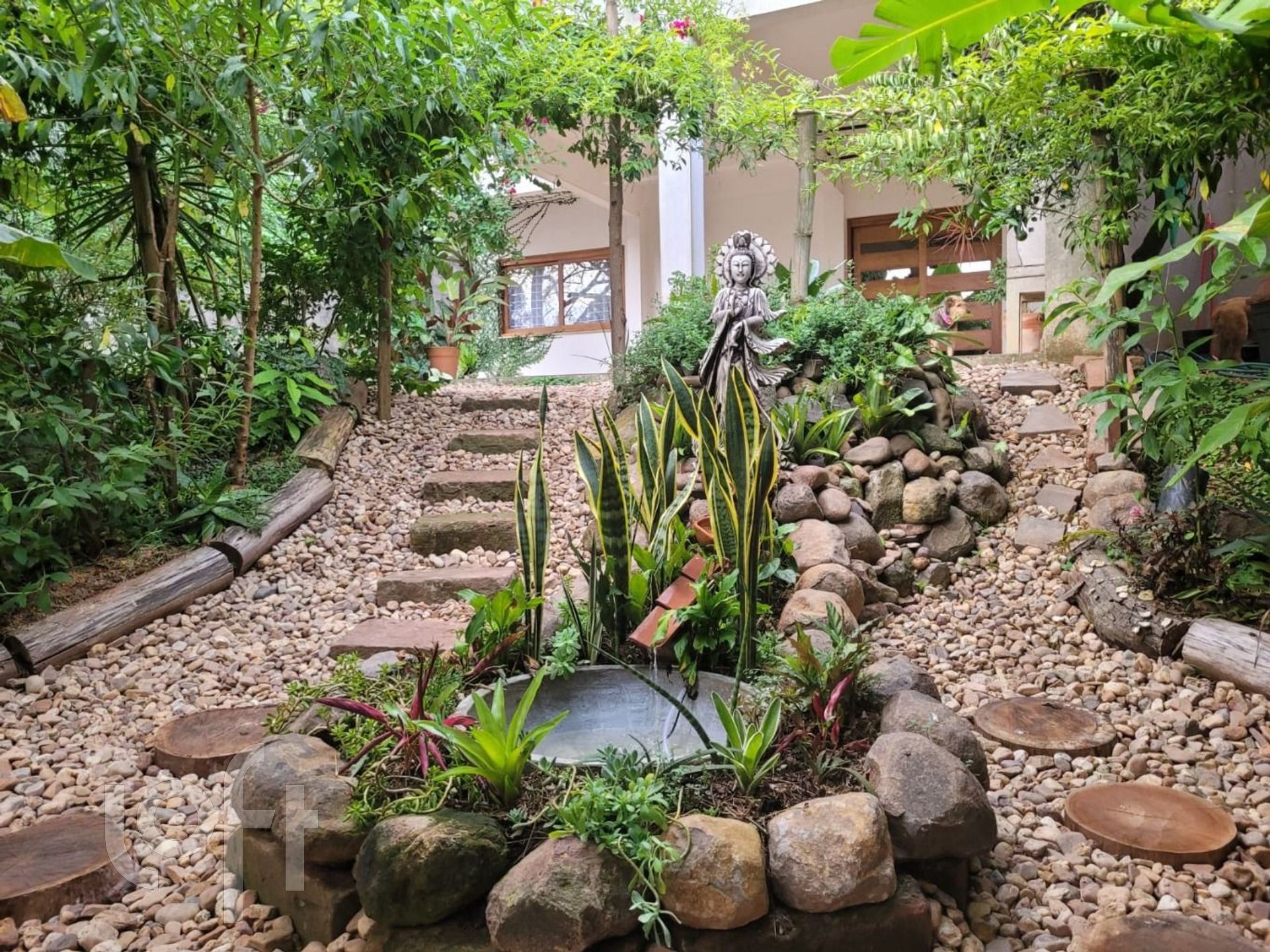 Imagem da propriedade 7