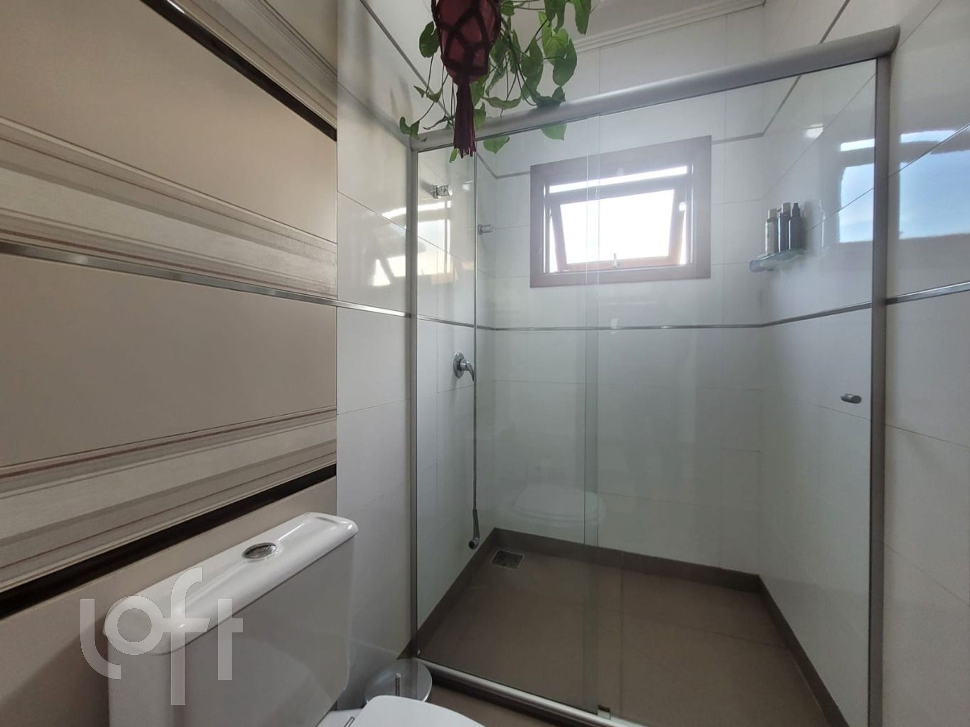 Imagem da propriedade 30