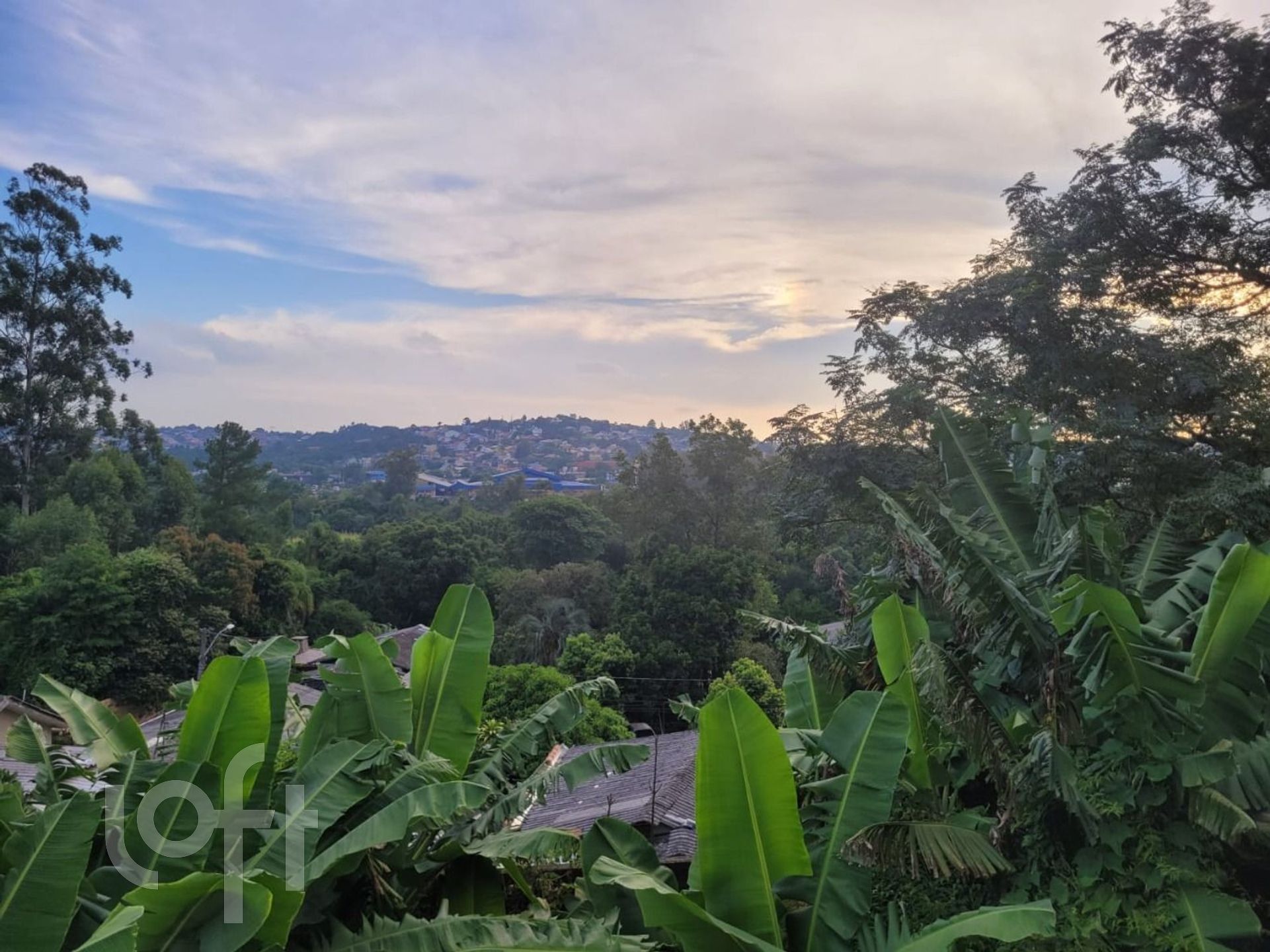 Imagem da propriedade 8