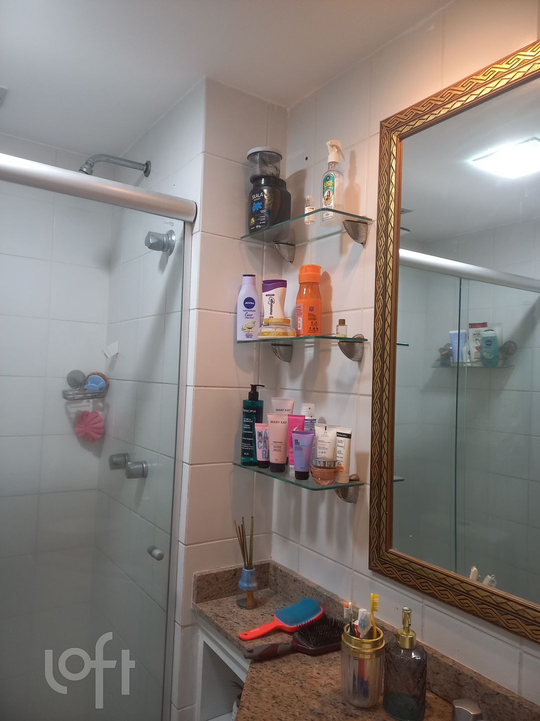 Imagem da propriedade 21